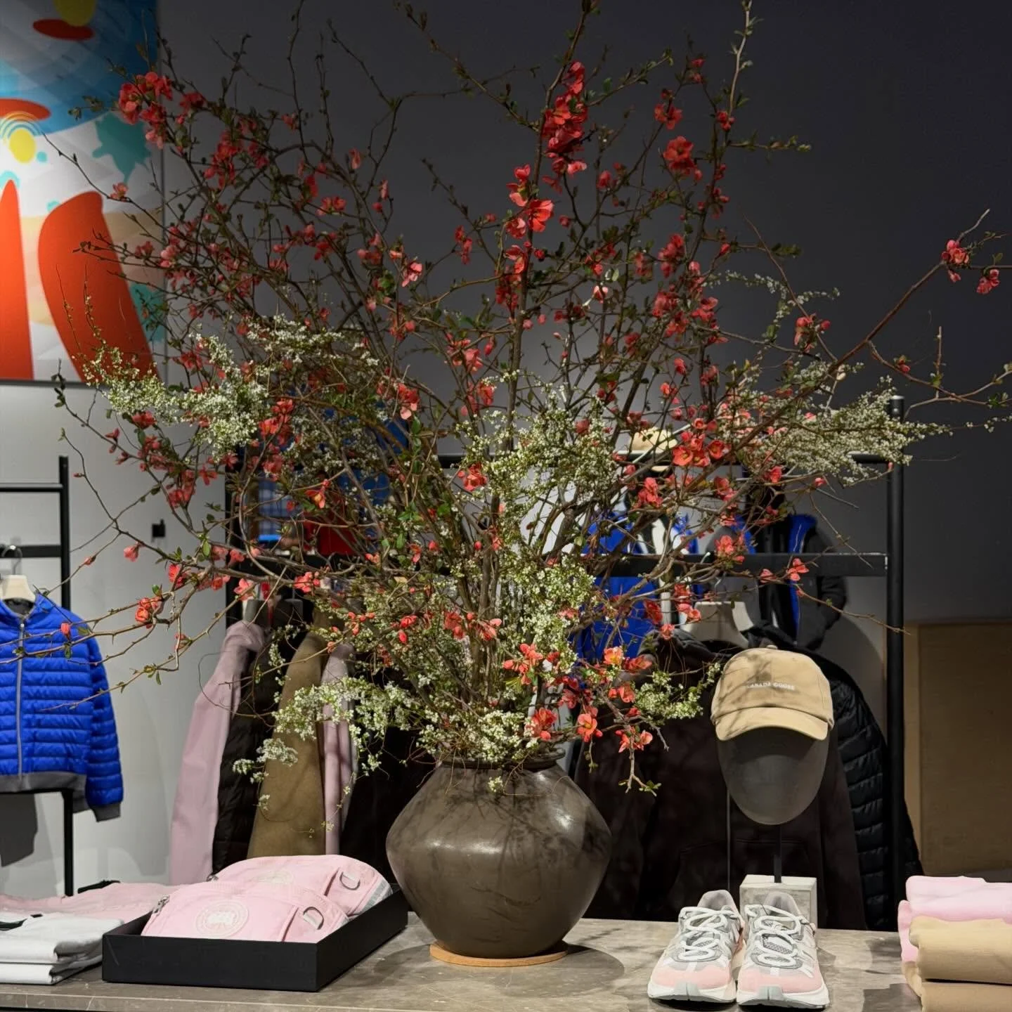 Quince thicket inside @canadagoose this week