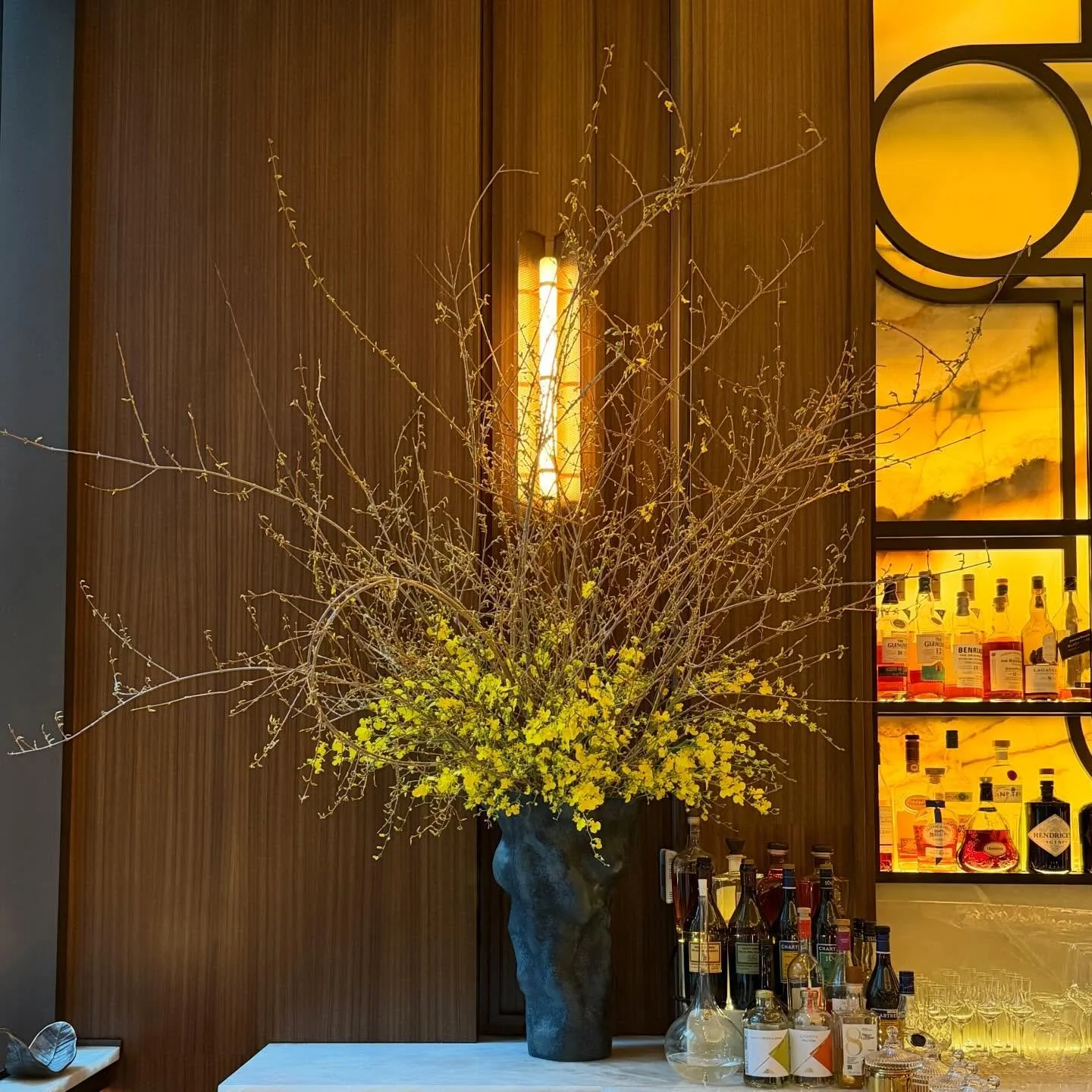 My annual forsythia monster at @santinewyorkcity 💛🟡🍋☀️ Check back for full bloom pics✨✨

For @deadflowersnyc