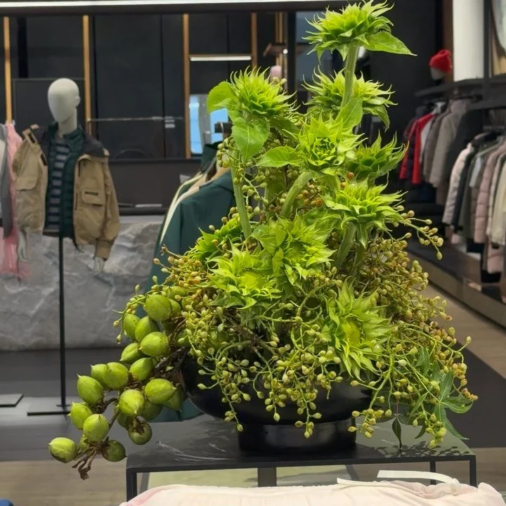 Sunny girl in pistachio mist this week at @canadagoose