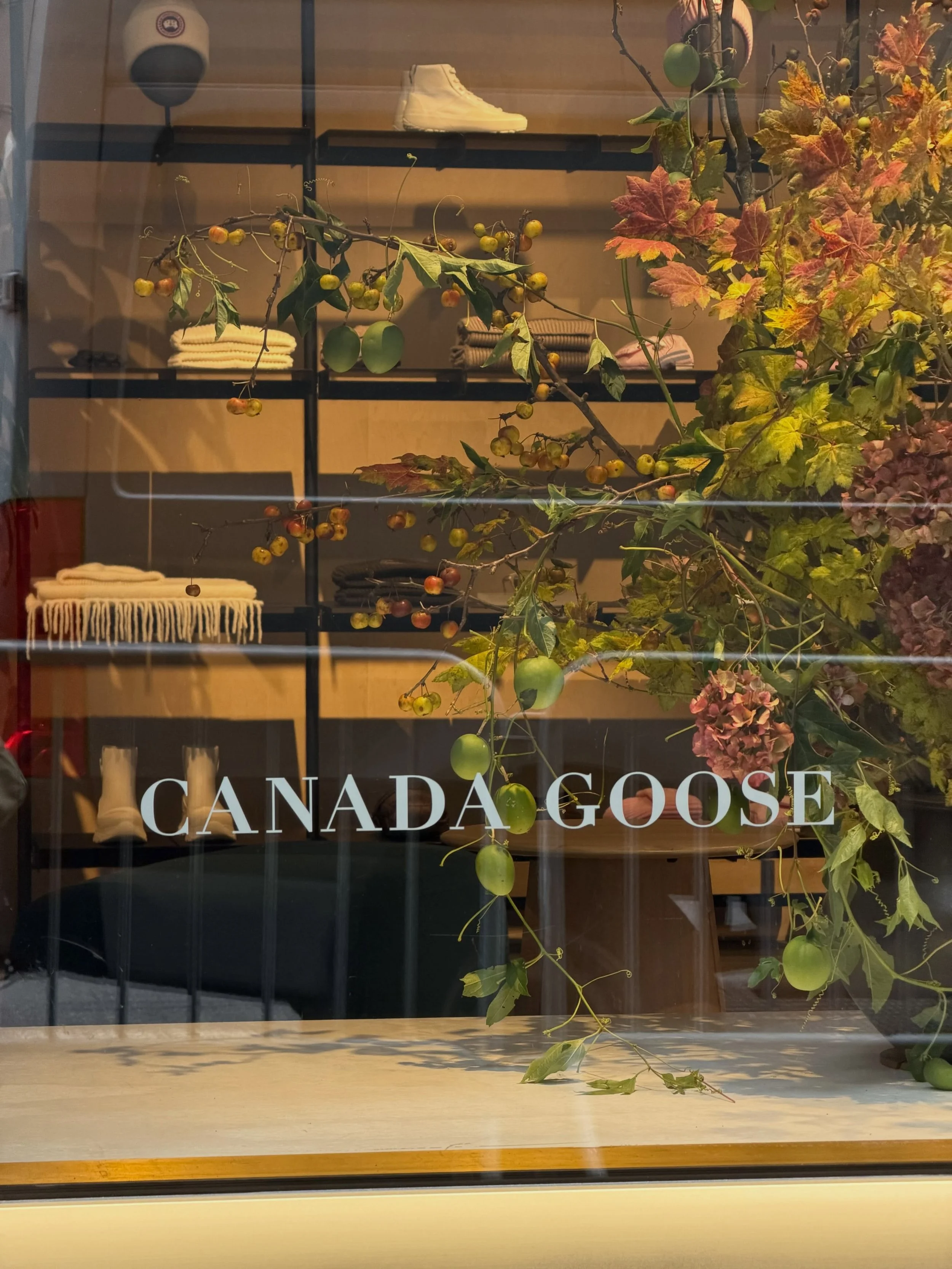 Passion fruits in the window this week at @canadagoose