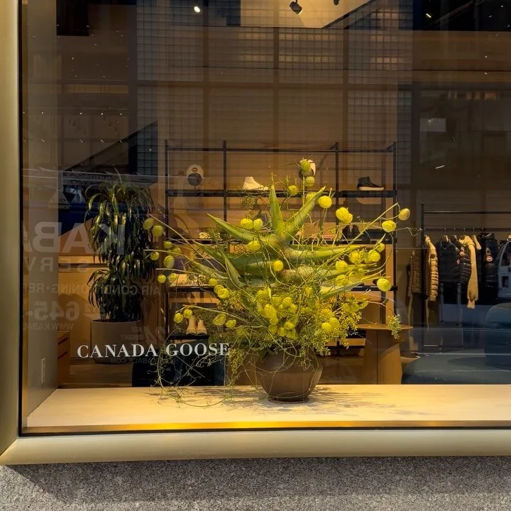 Gigantic beast and bubbles in the window this week @canadagoose