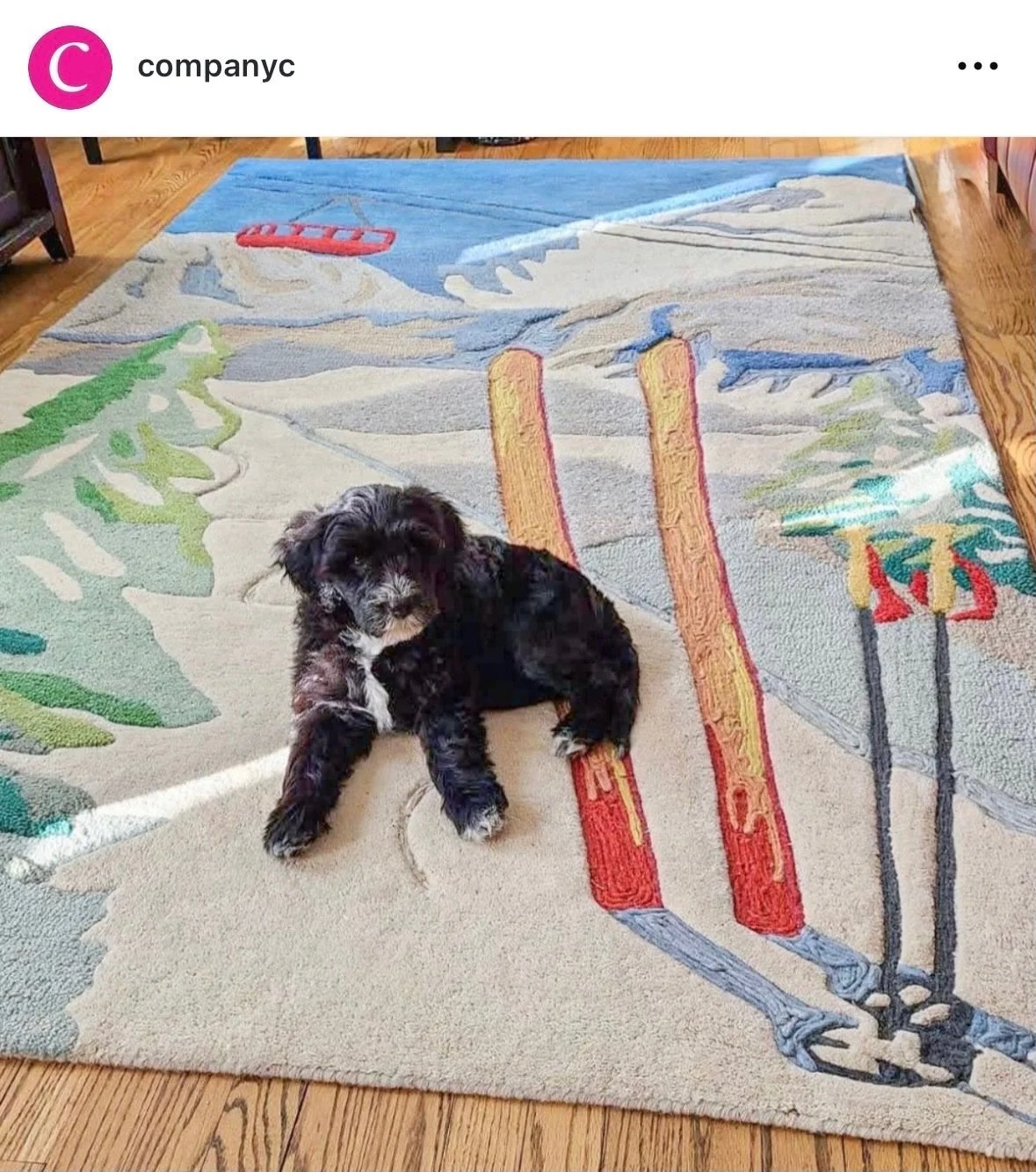 ❄️⛷️Add a little downhill fun&hellip;indoors!&nbsp;

Inspired by a classic vintage ski scene, this whimsy design comes to life in eco-friendly, easy-care yarns made from recycled polyester fleece. Multiple shades are blended into each ply of yarn, gi