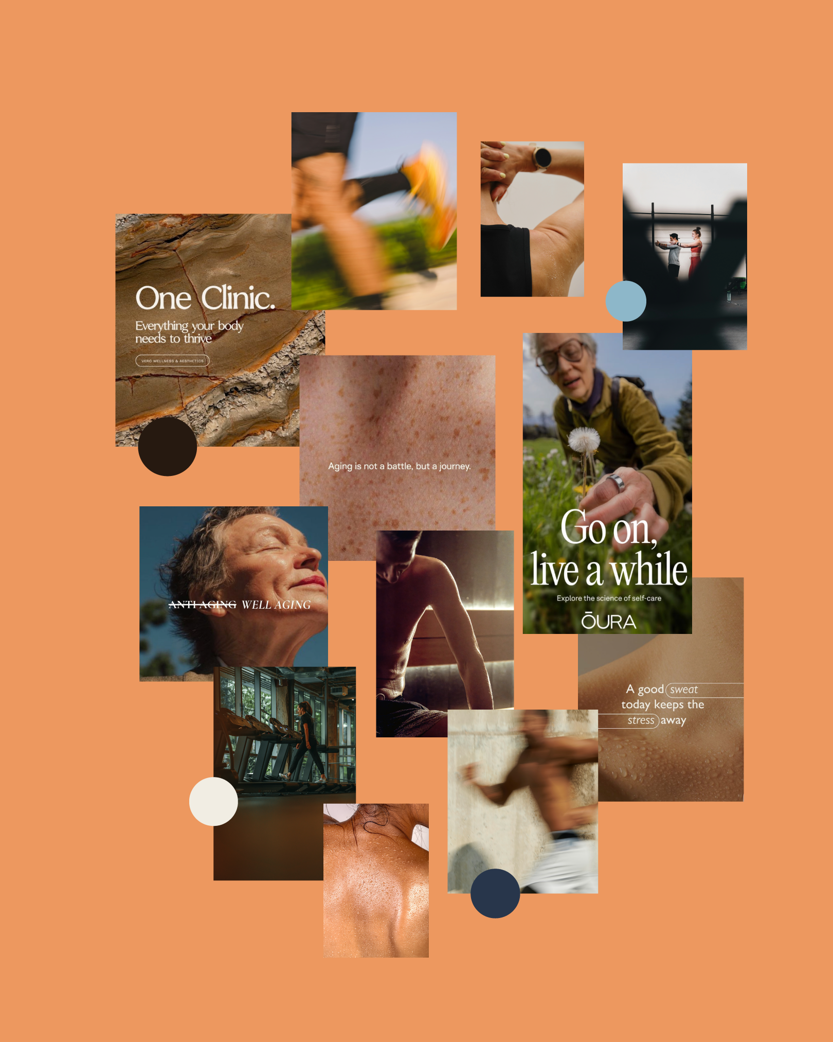 CD_MSArtboard 23@1.5x.png