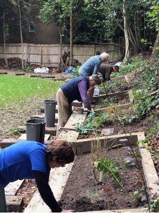 Volunteers from Haywards Heath and Cuckfield & Lindfield Rotary