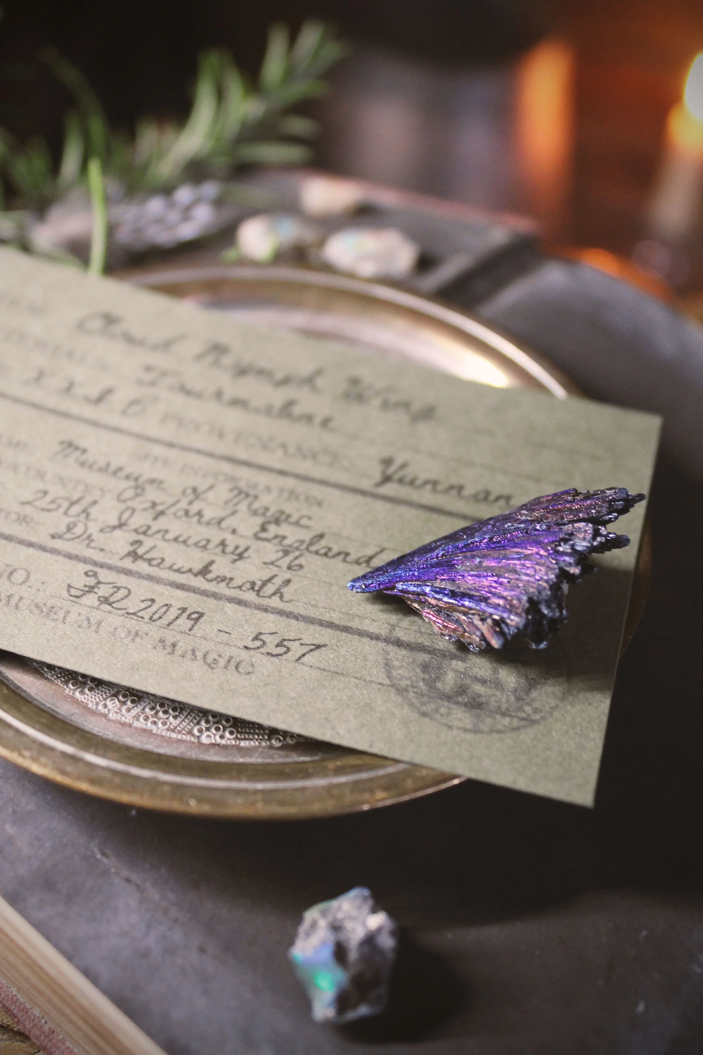 Fossilised Cloud Nymph Wing Pack