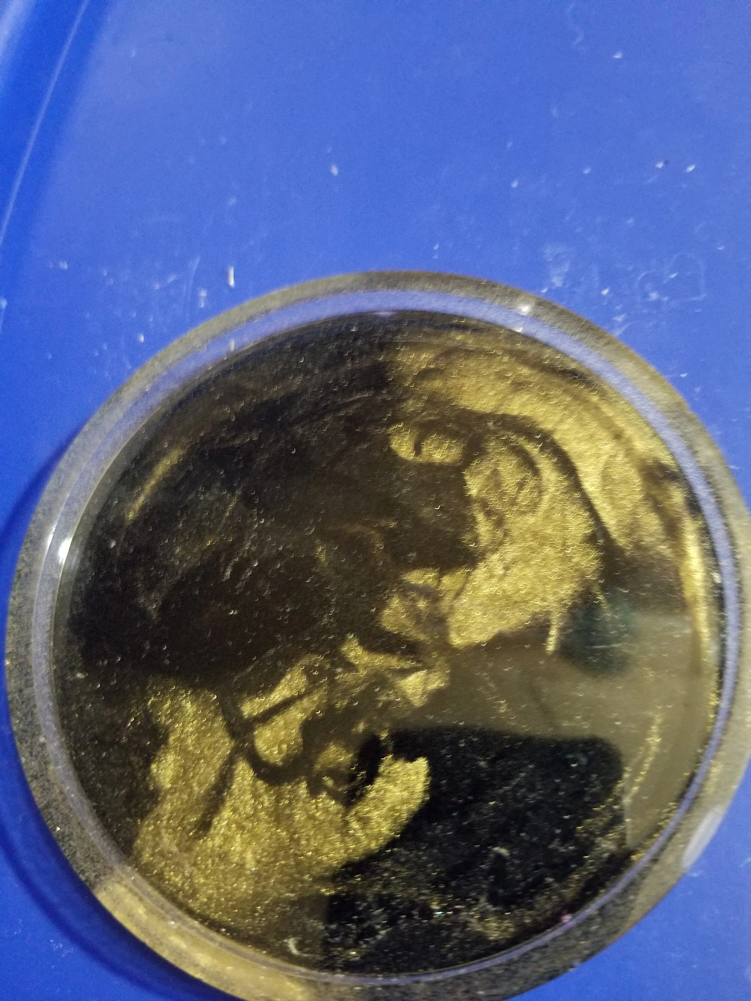 SwirlPlaques_003.jpg