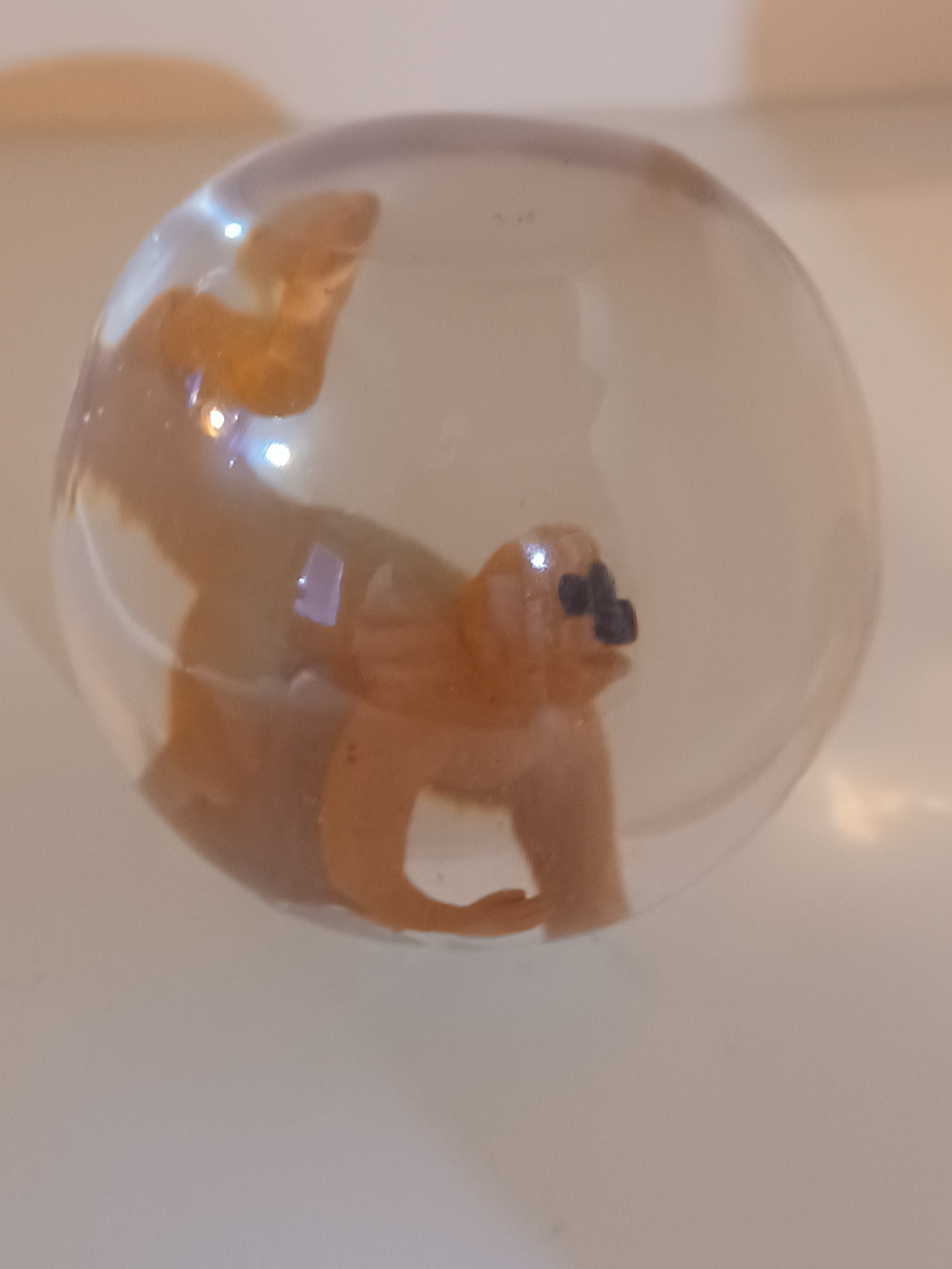 https://i.etsystatic.com/21267911/r/il/2b03e7/4016104473/il_fullxfull.4016104473_j9ua.jpg