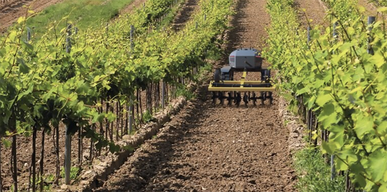 Automating Agriculture: Innovations in Farm Robots