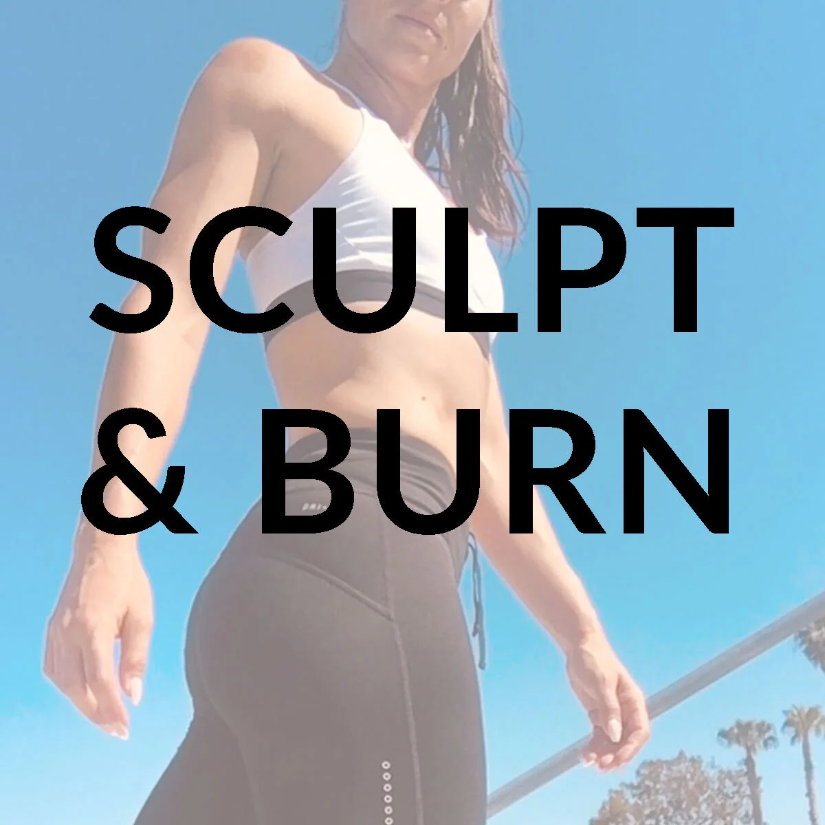 Sculpt.jpg