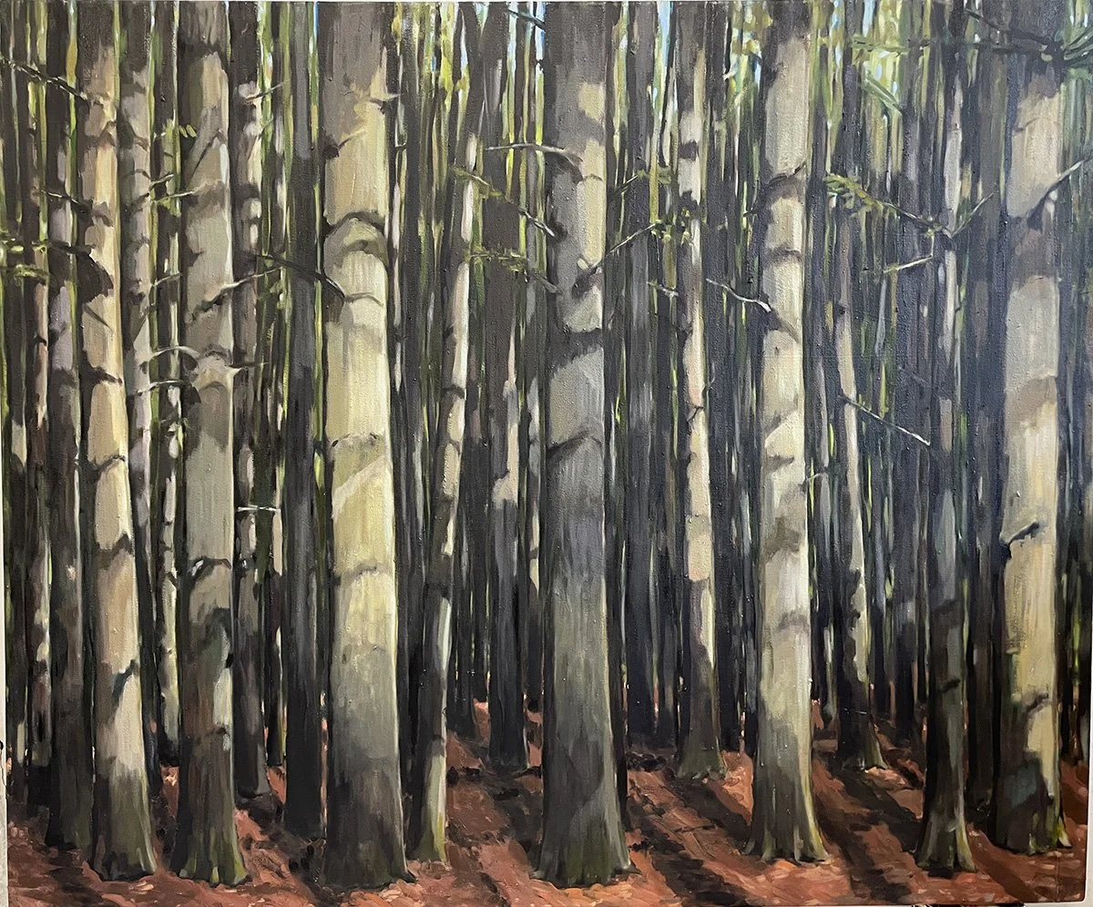 Morning Pines, Oil on Canvas, 60" x 72"
