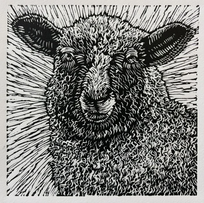 Baa, Linoprint on Paper, 8" x 8"