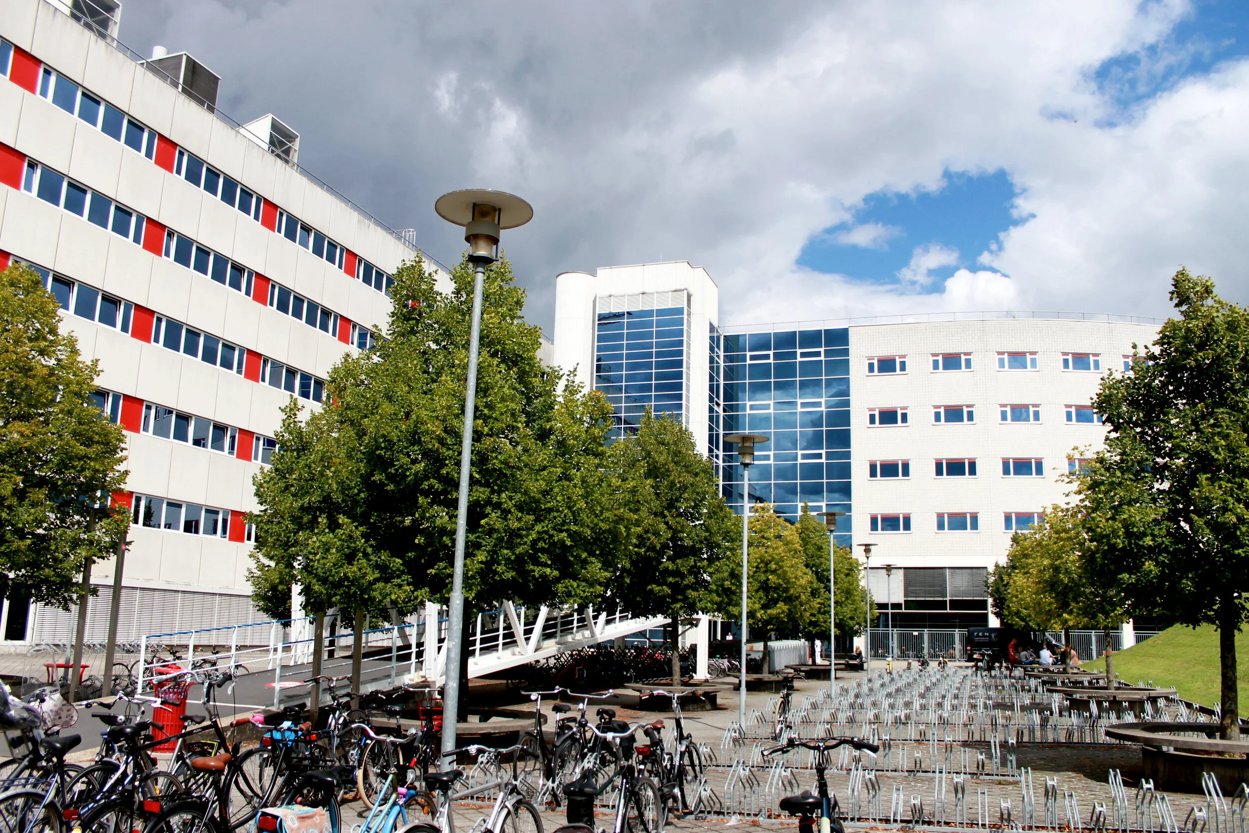 Less commonly discussed reasons for pursuing education abroad