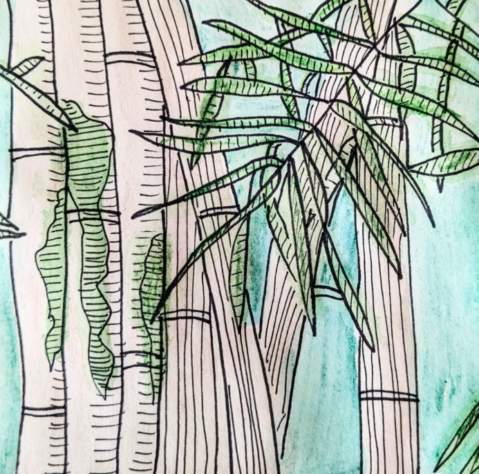 Drawing Indonesia: bamboo forest