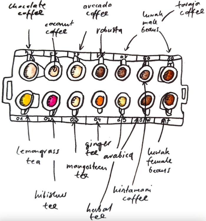 Drawing Indonesia: coffee and tea tasting