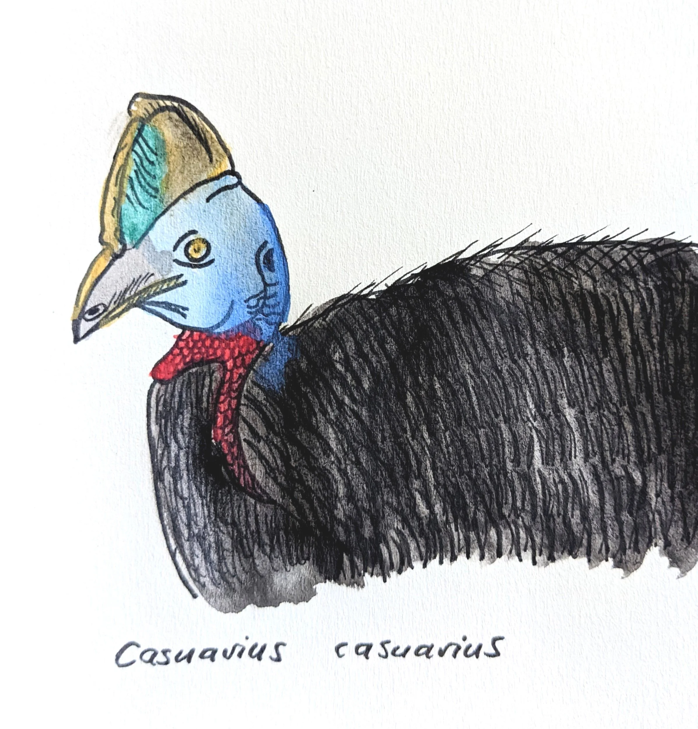 Drawing Indonesia: Bandung Zoological Garden