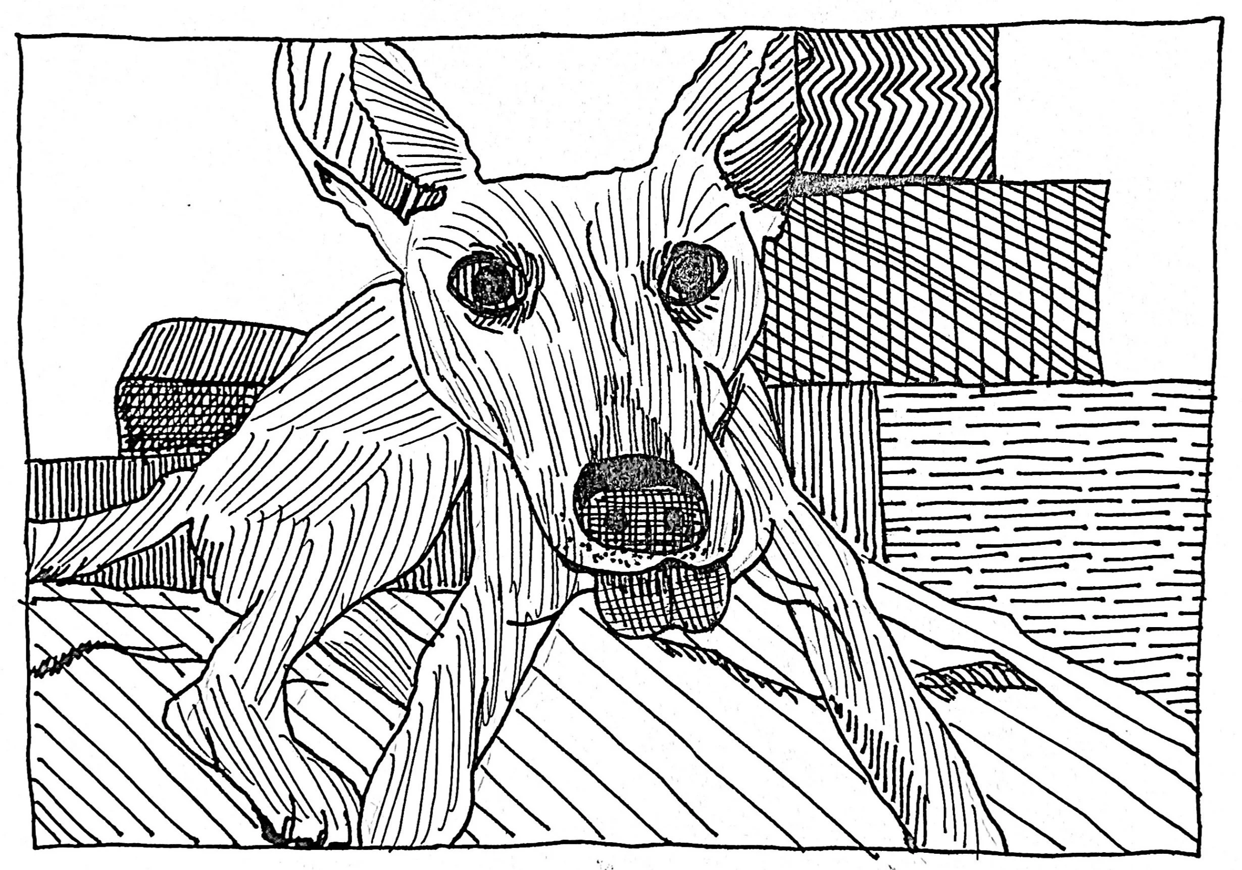 Drawing Poland: my best Friend