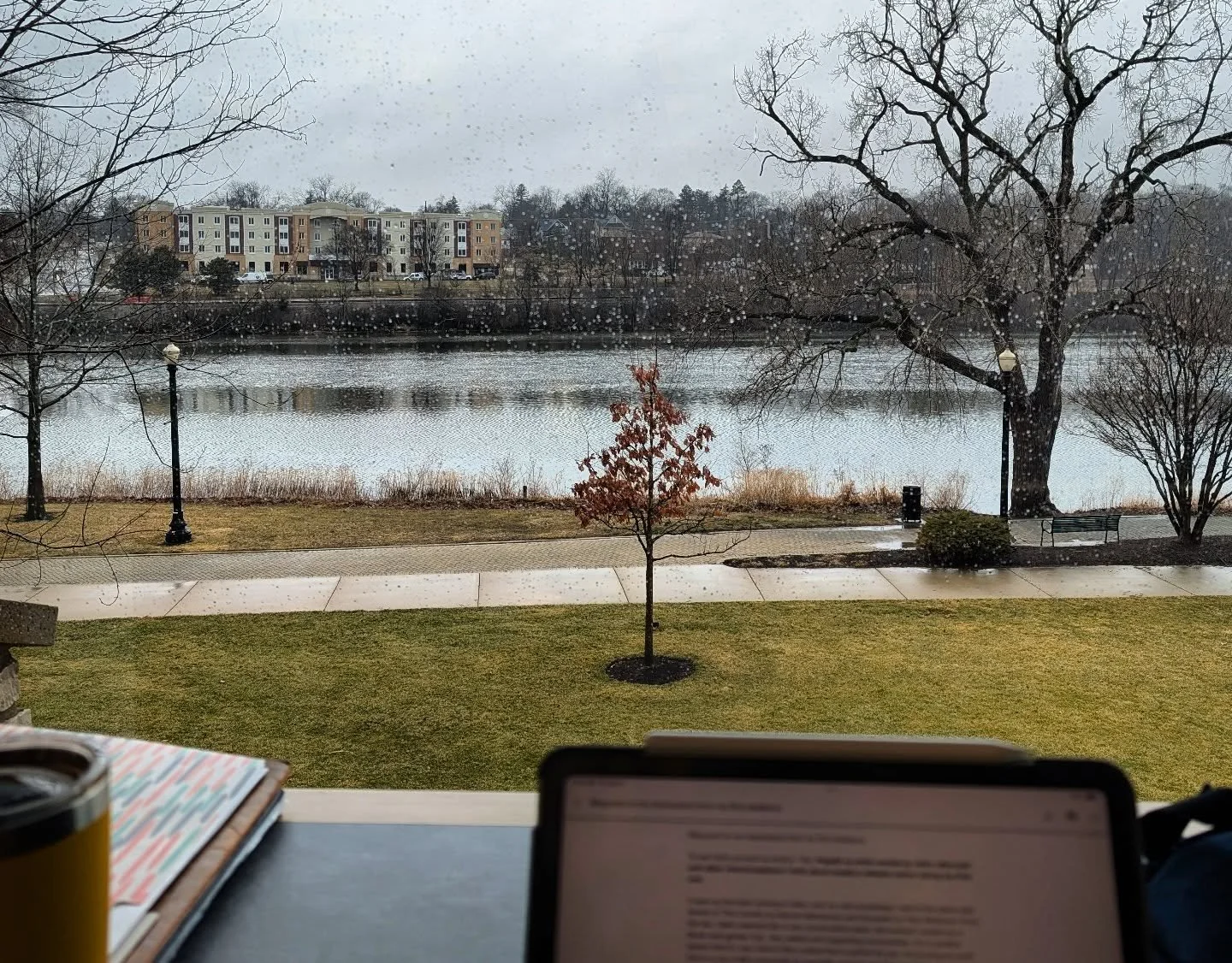 Lately, whenever I have a work assignment farther from home, I try to check out a local library and do some creative work. Today I found a spot at @gailbordenlibrary with a beautiful view of the Fox River, even though it's a pretty gloomy day.