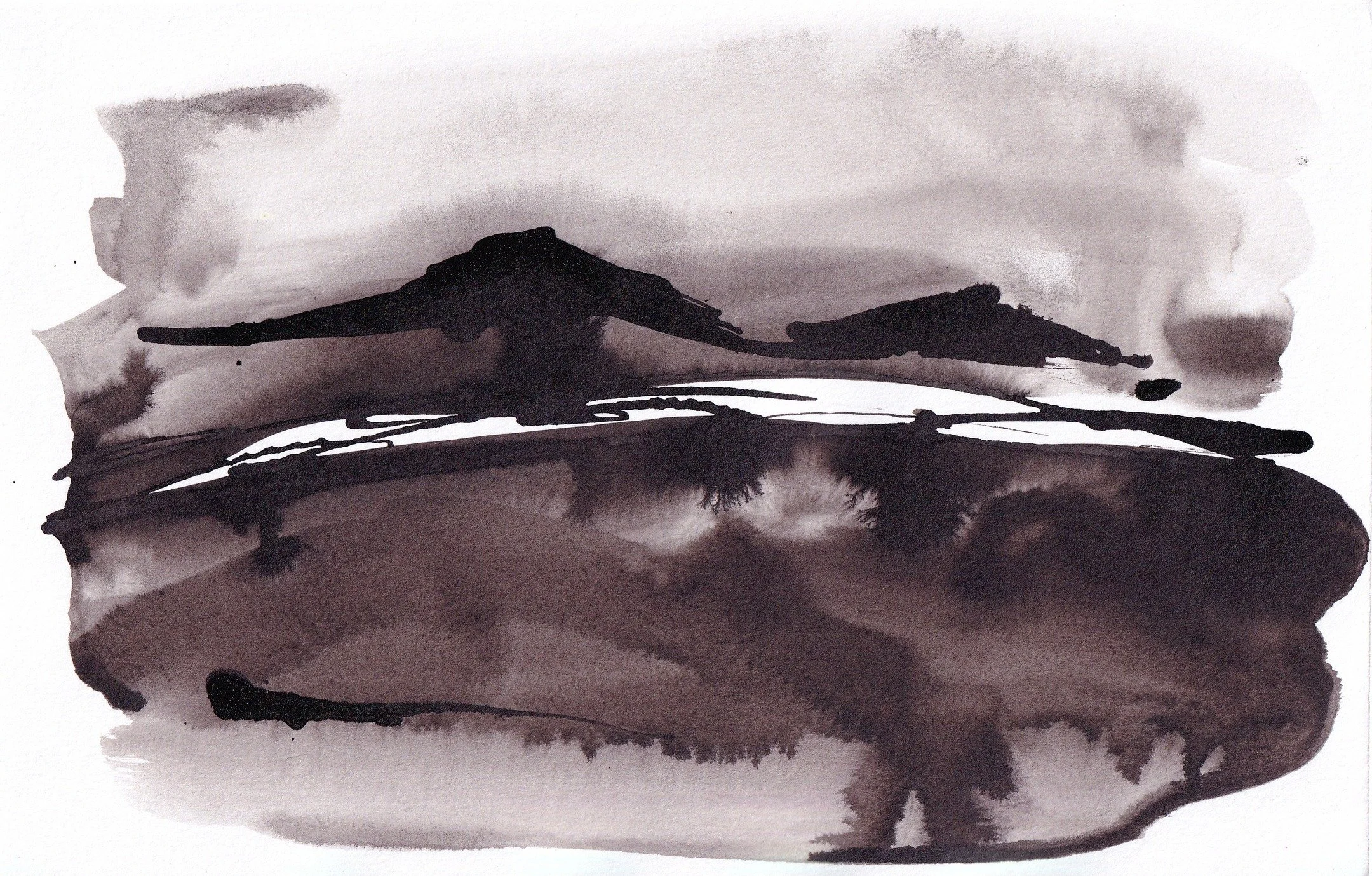 Quick experimentation with India ink and a pipette.