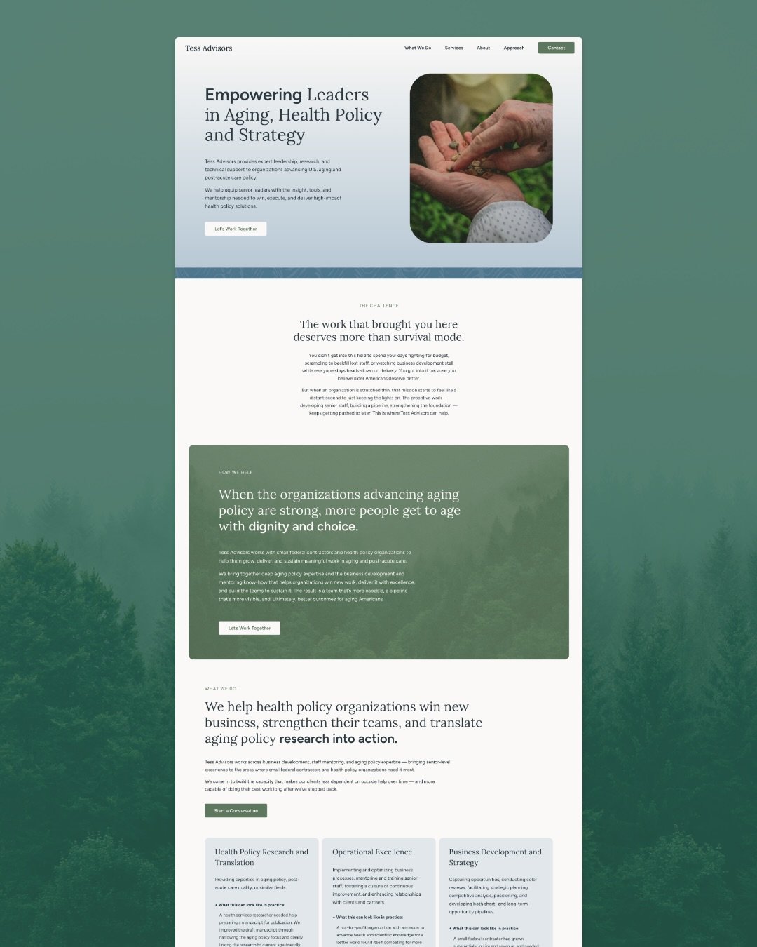 New brand &amp; website design for Tess Advisors!

When Terry came to me after launching her new consultancy, Tess Advisors, she was looking for help building a brand and website to promote her work. But before we could get into the design, we needed