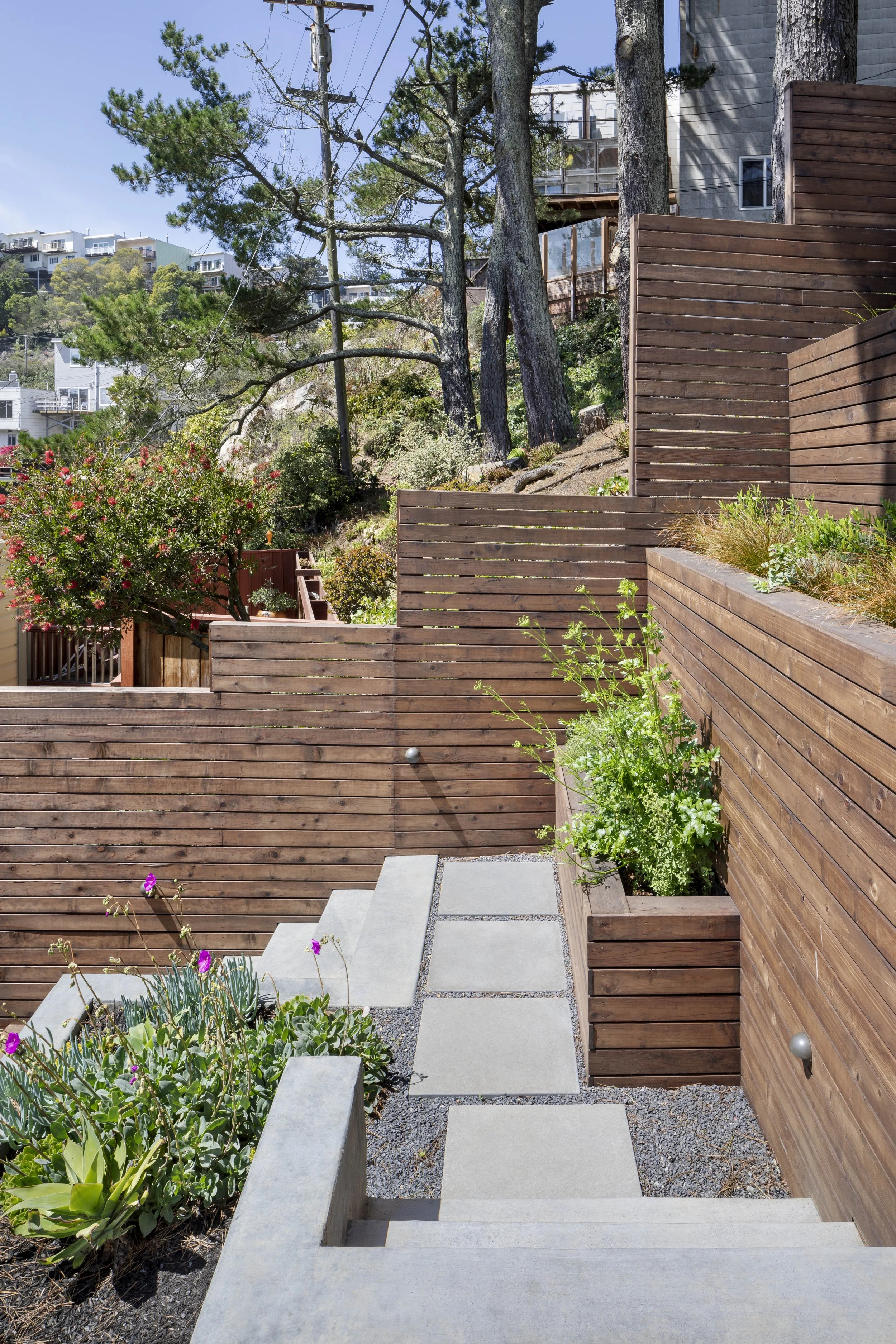 21_Backyard 4_After.jpg