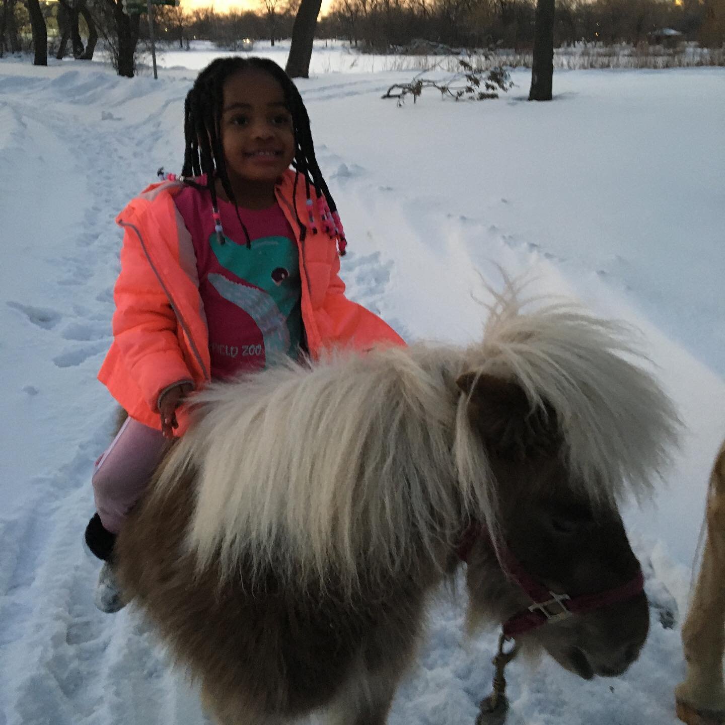 6 degrees in Chicago but this little girl ran out of her car to hop on Clover #beautyisinthestreets