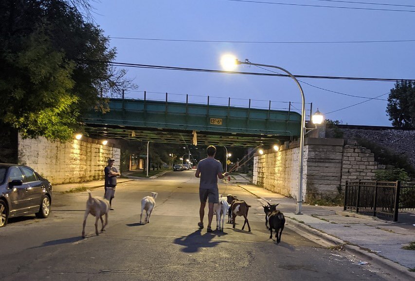 Walking home from the corner, Chicago, 2020. Why do we love intersections? Is it the explicit motion? Are streets like arteries? Are corners the main place of communication? This intersection has movement in all four of the cardinal directions, and b