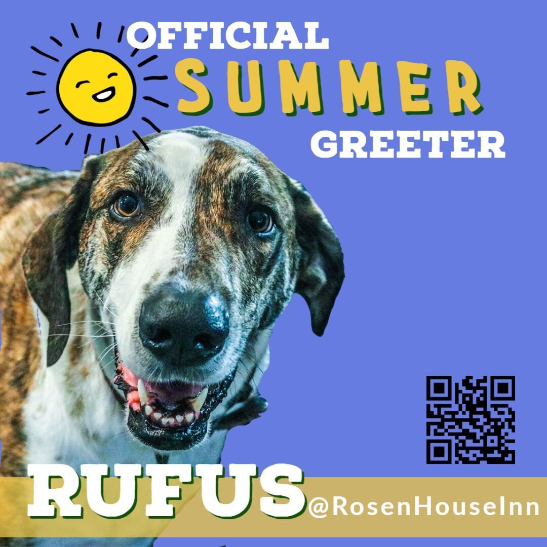 Like Fort Worth, Rosen House Inn is doggie friendly 🐕 Stay with us and explore the city with your fur-baby. Rufus loves new visitors and will make sure you are welcome! Use Code: Summer 2022 getaway for 10% off two or more nights through 8/31, 2022.