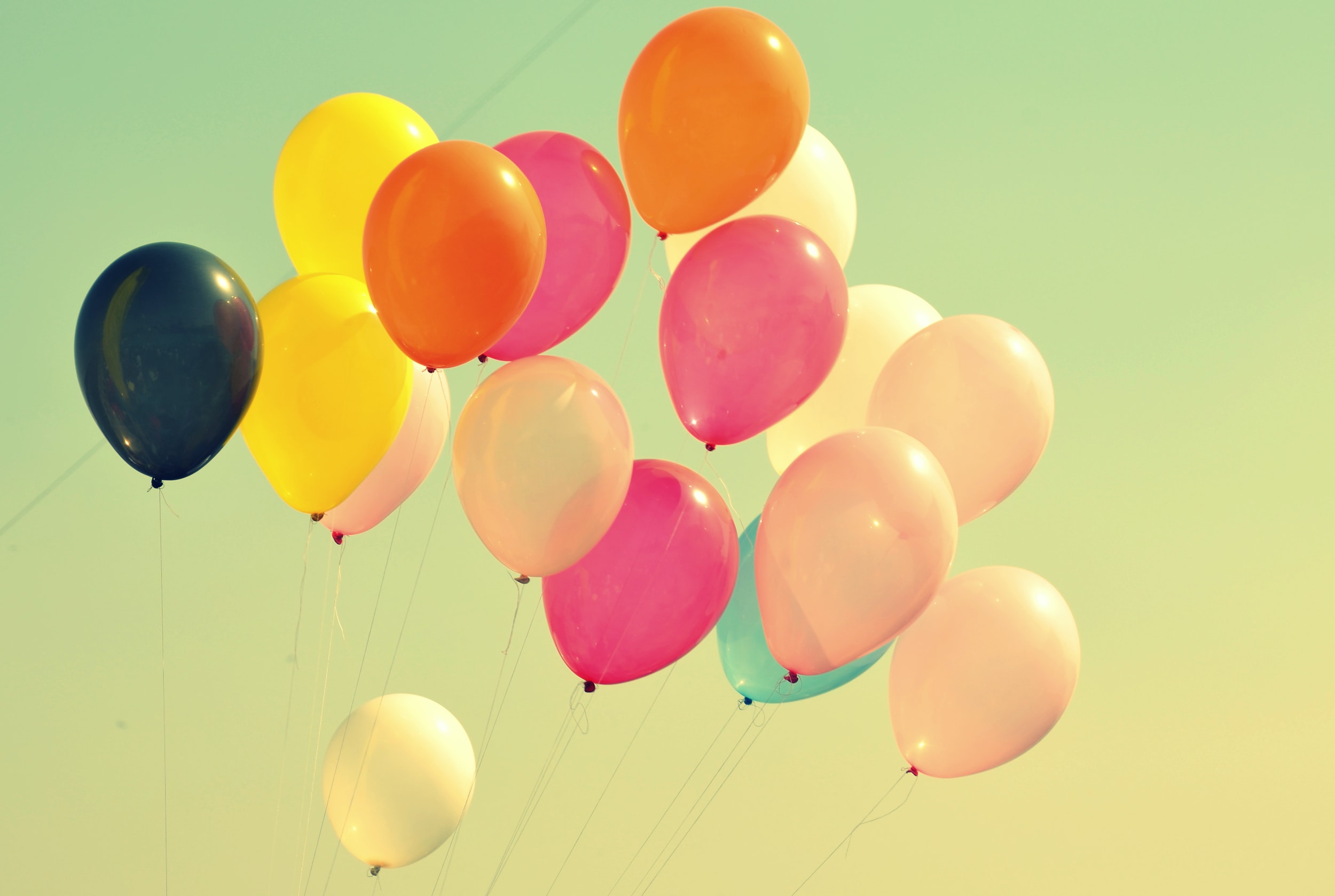 Welcome to The Whimsy Collective.