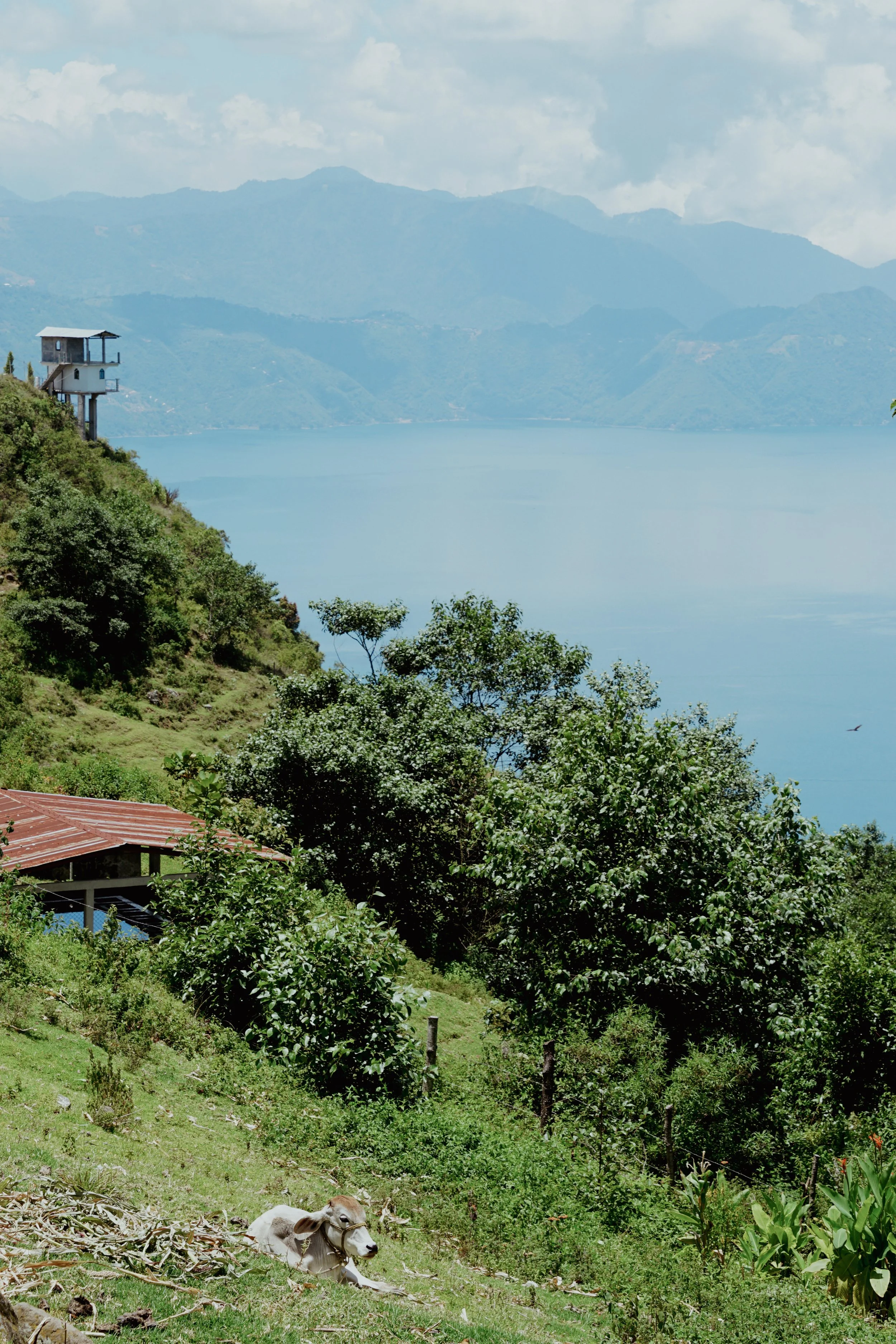 Guatemala-19.jpg