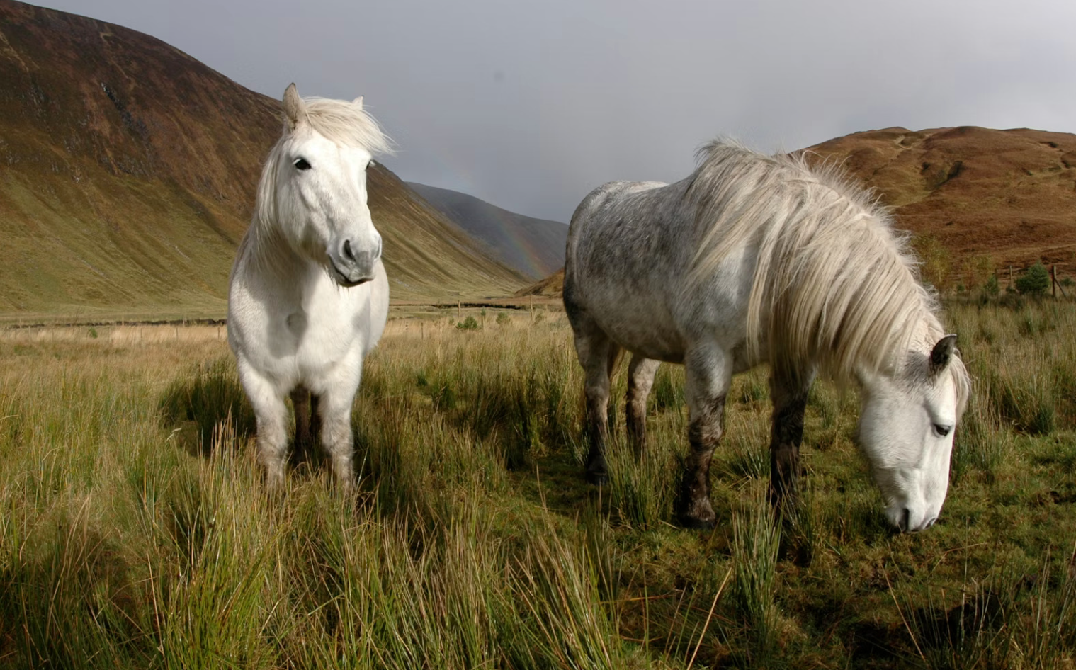 Screenshot 2026-01-18 2.53.34 PM.png