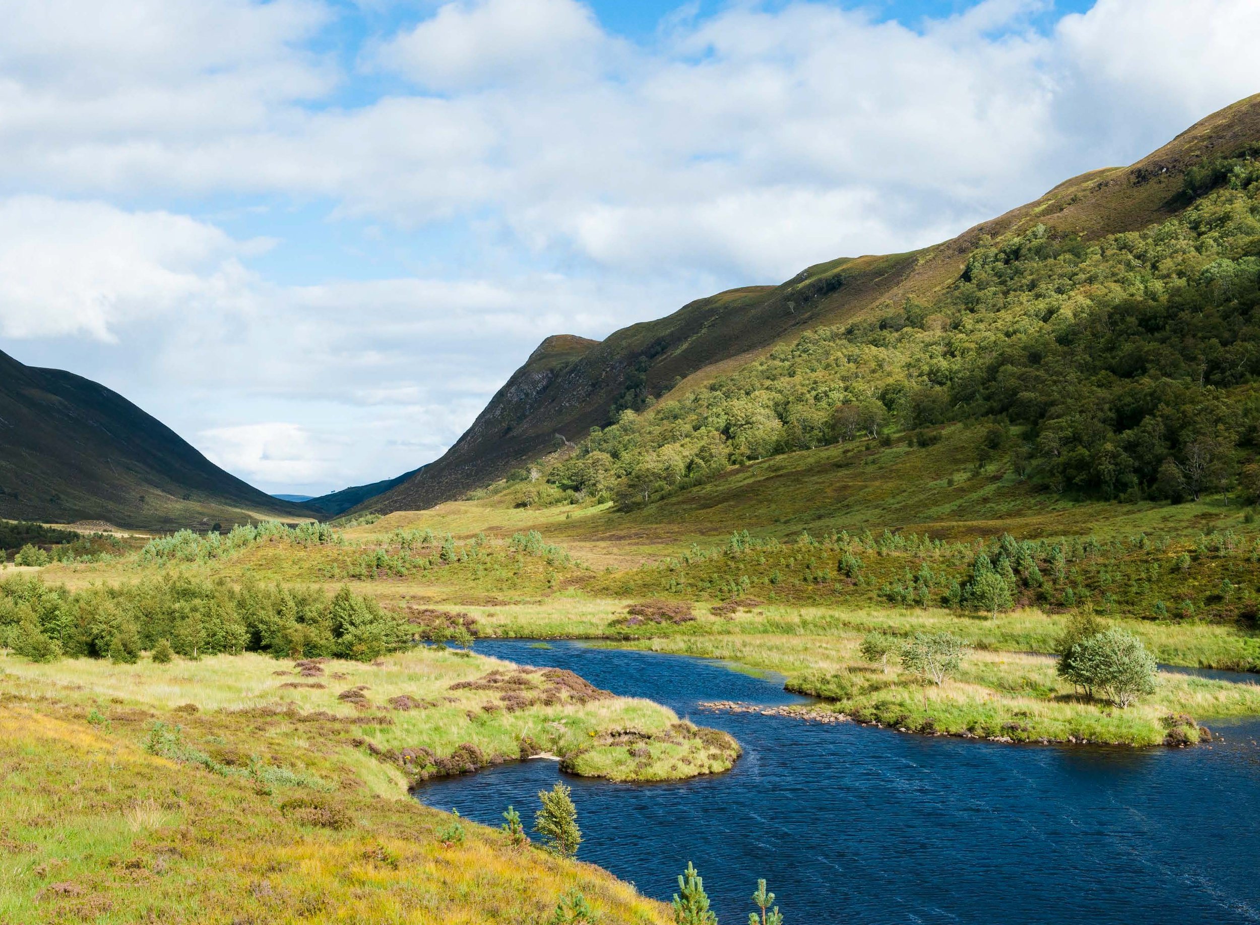 AWR Alladale 2013 v18[66]_Page_02_Image_0001.jpg