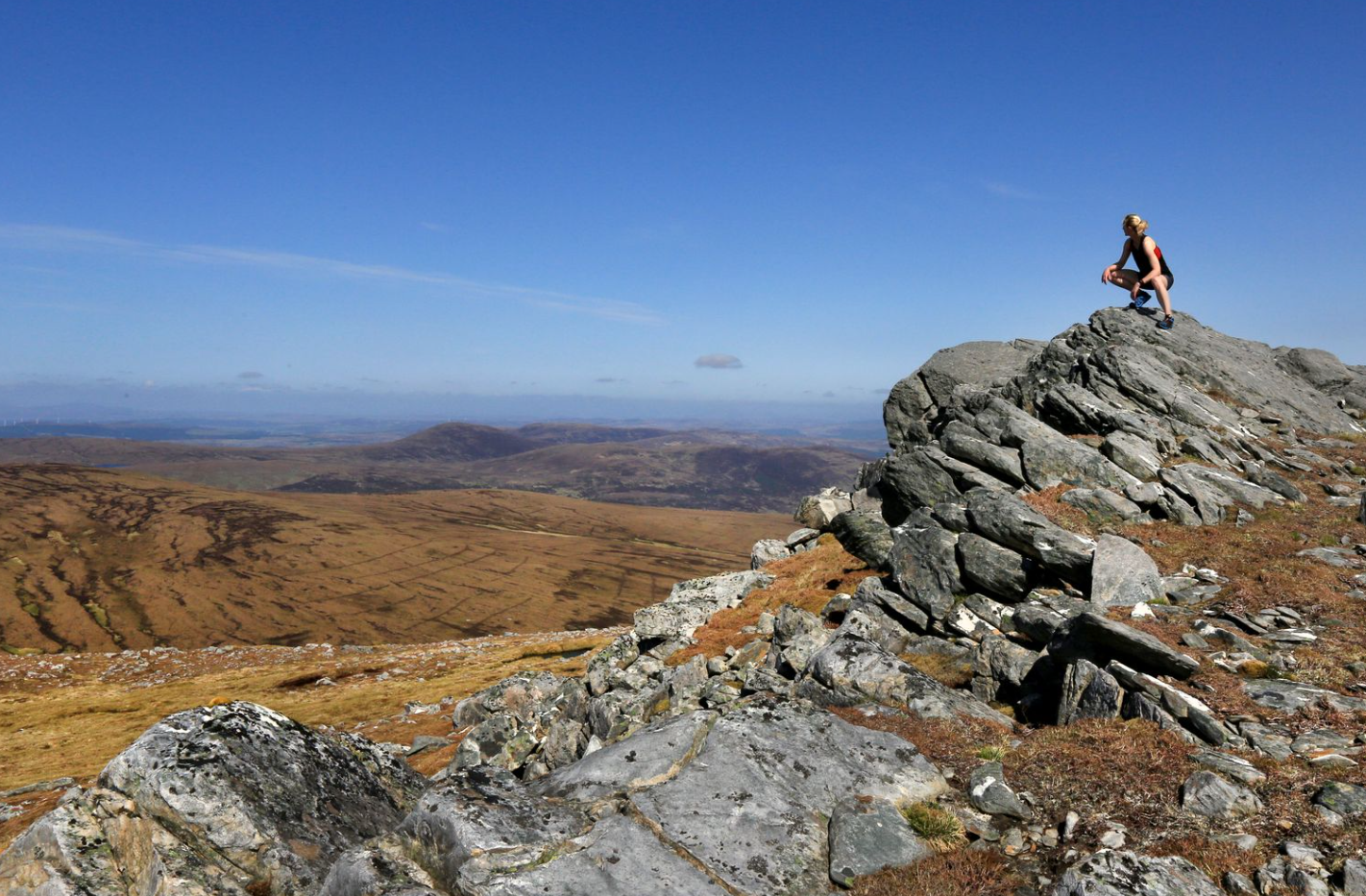 Screenshot 2026-01-18 2.56.24 PM.png