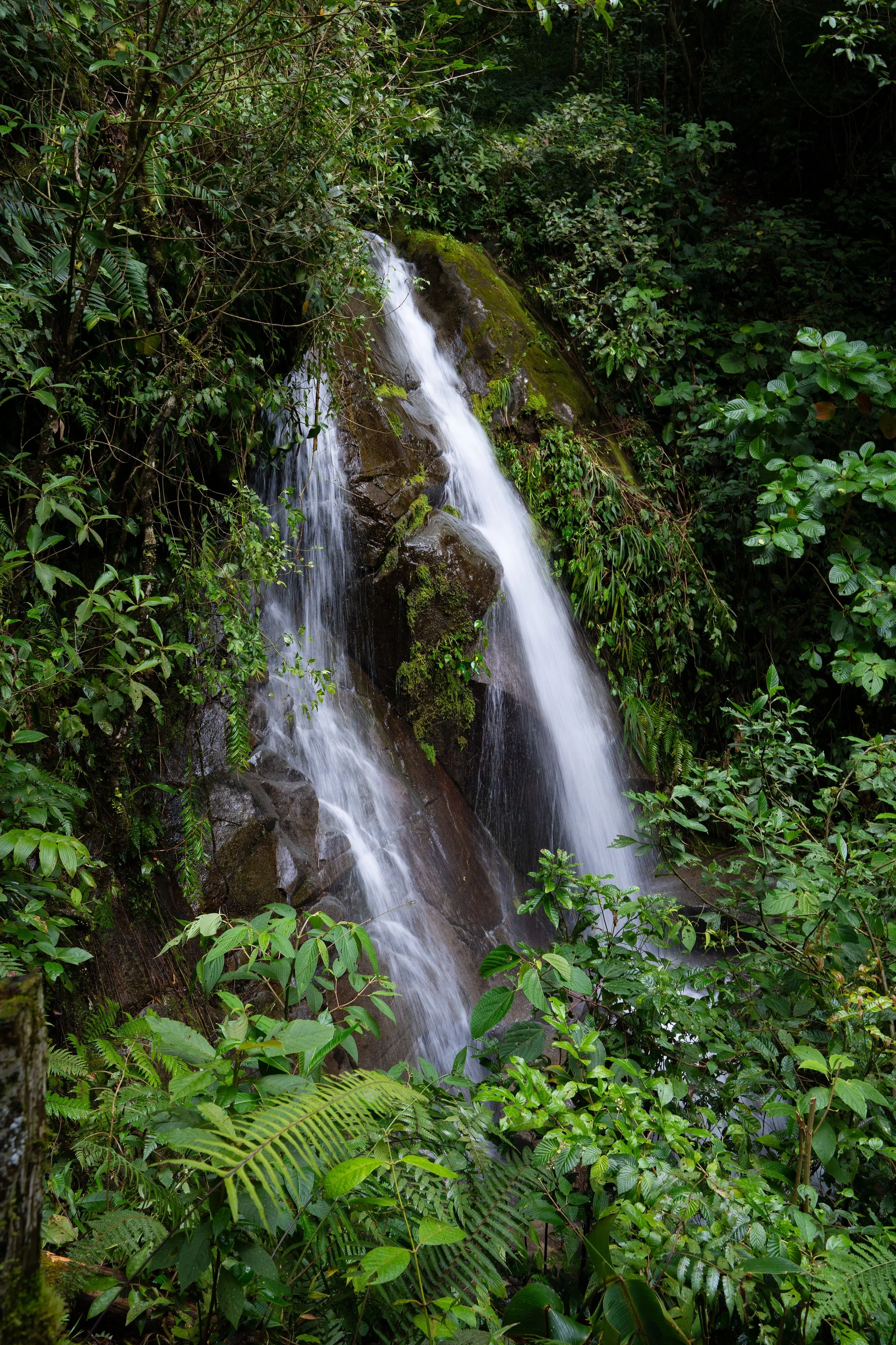 DSC08615.jpg