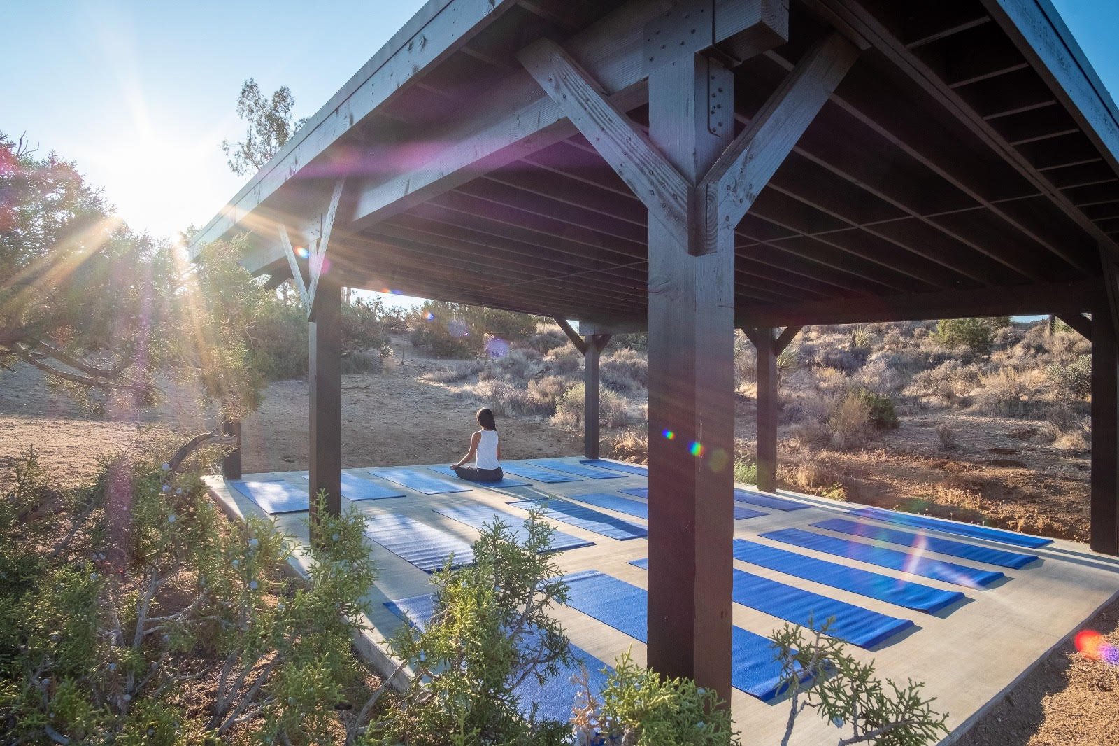 Yoga Pavilion (1).jpeg