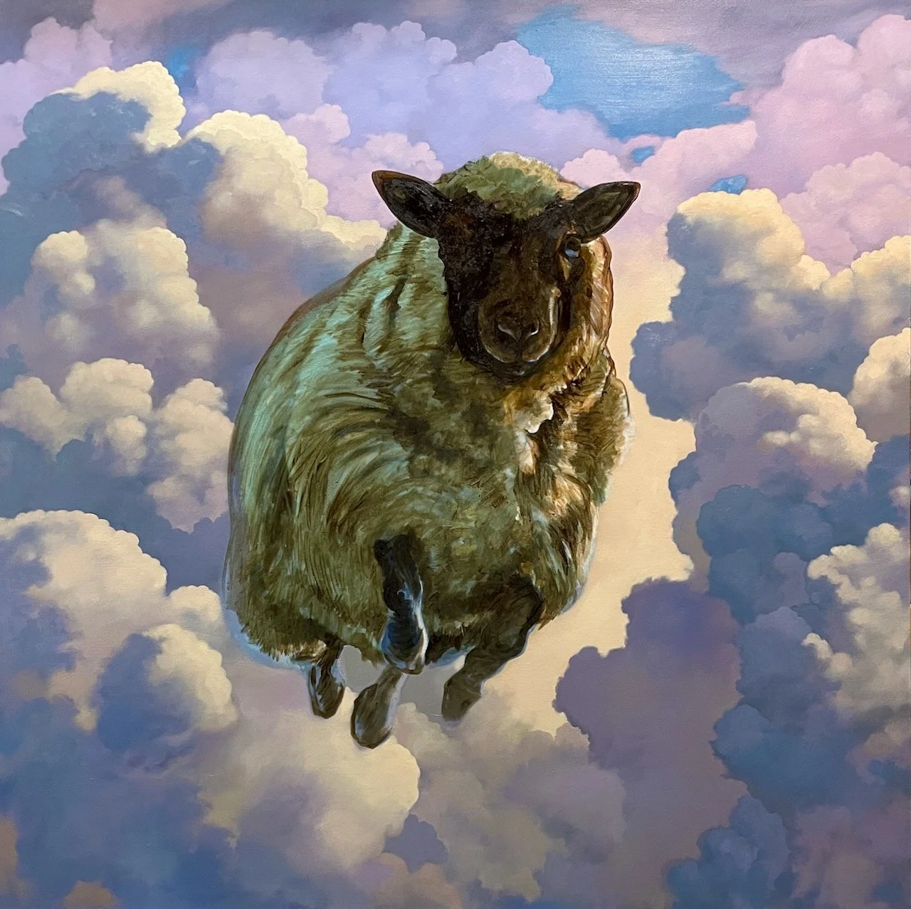 "Sheep" 68"x68" Oil on canvas