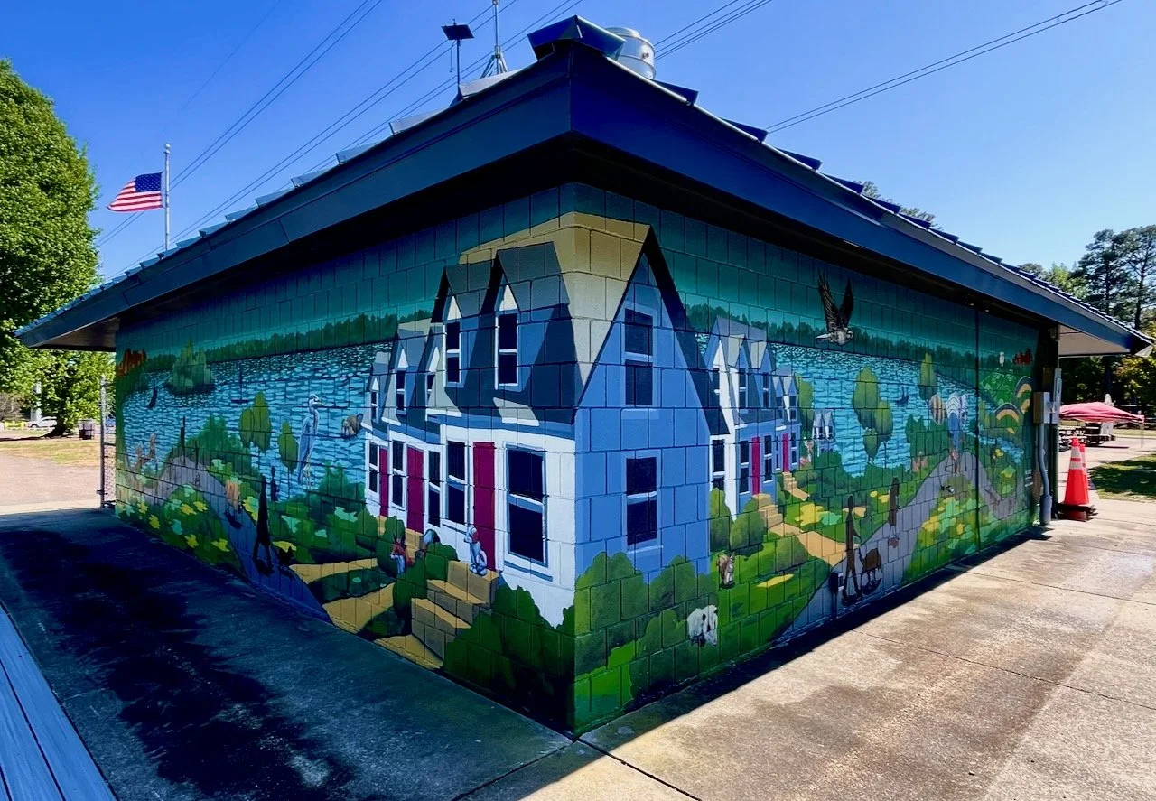 8' x 60' mural painted in collaboration with clover Hill High School art students at Rockwood Park in Chesterfield VA
