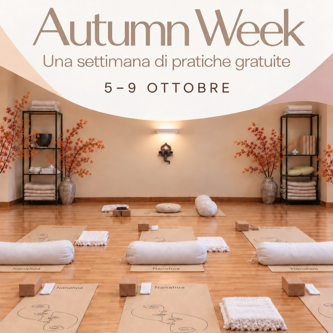 Autumn Week – Open Class 