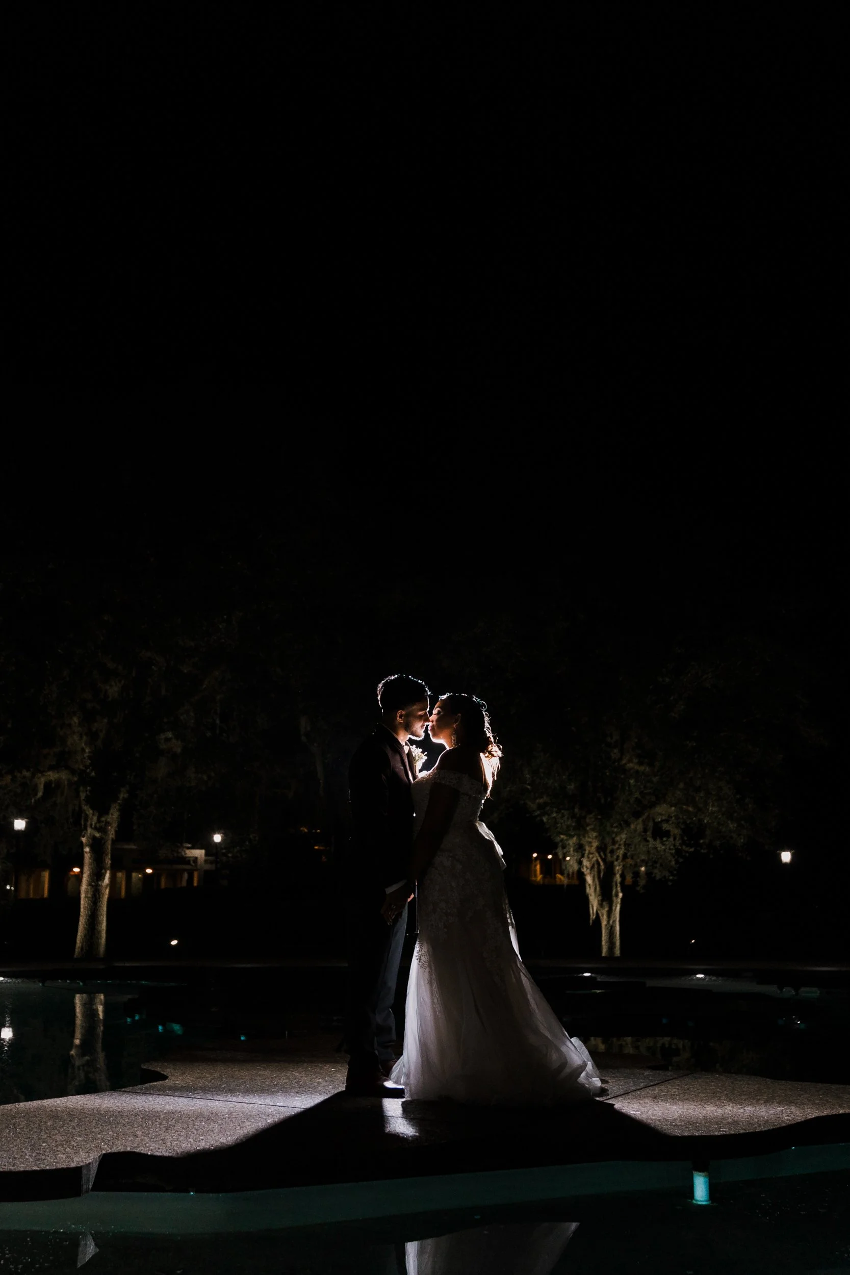 AH_BridalPortraits_53.jpg