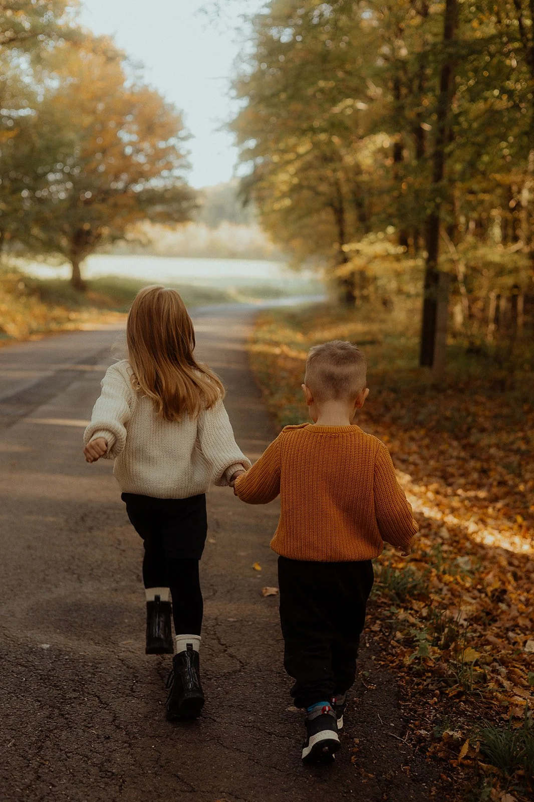 Two children, a girl and a boy, hold hands and walk on a paved path through a fall forest with trees displaying autumn colors.