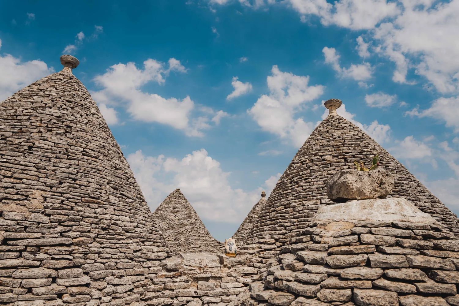 PHOTOS — Ethan Hethcote