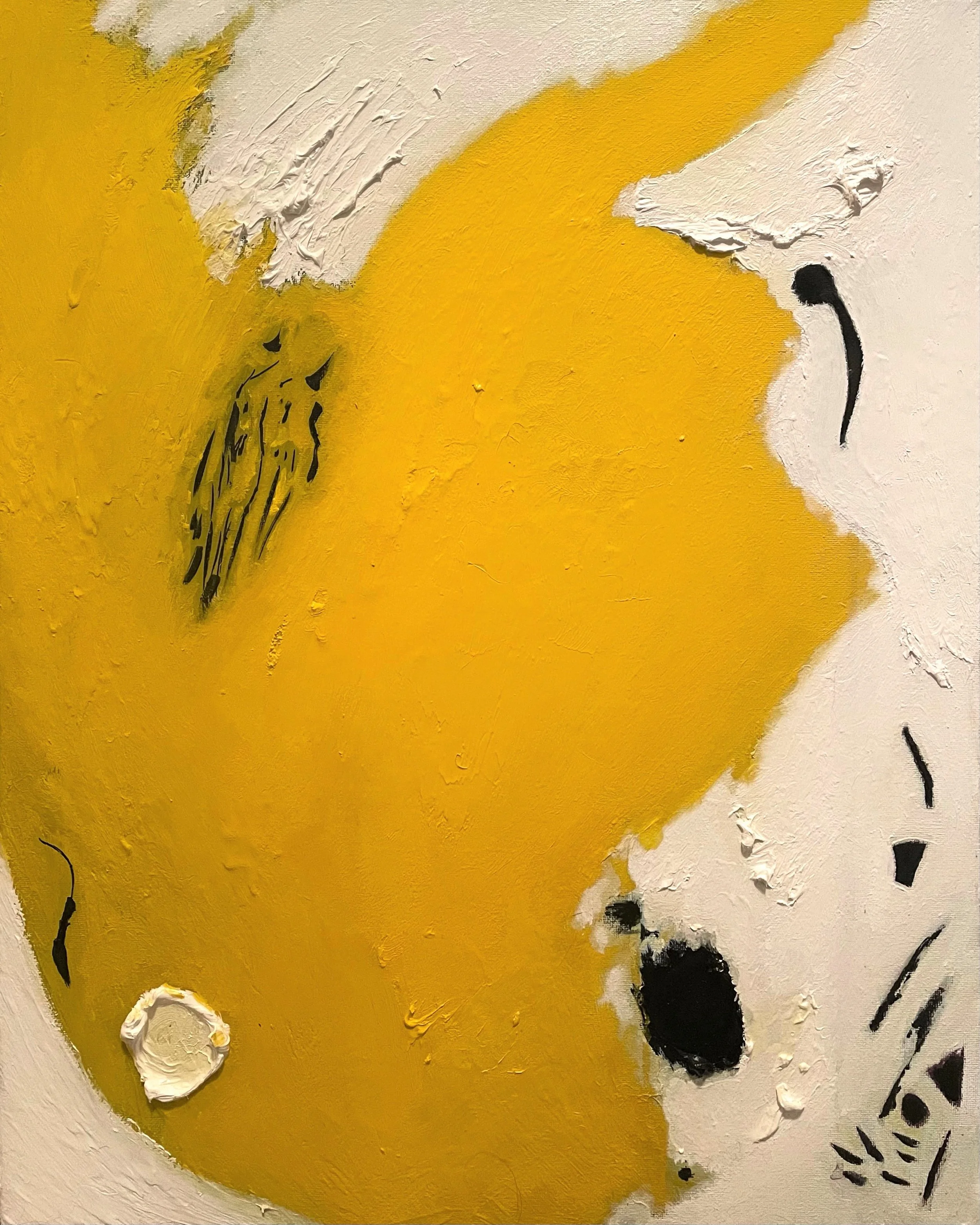 colors living through me.jpeg