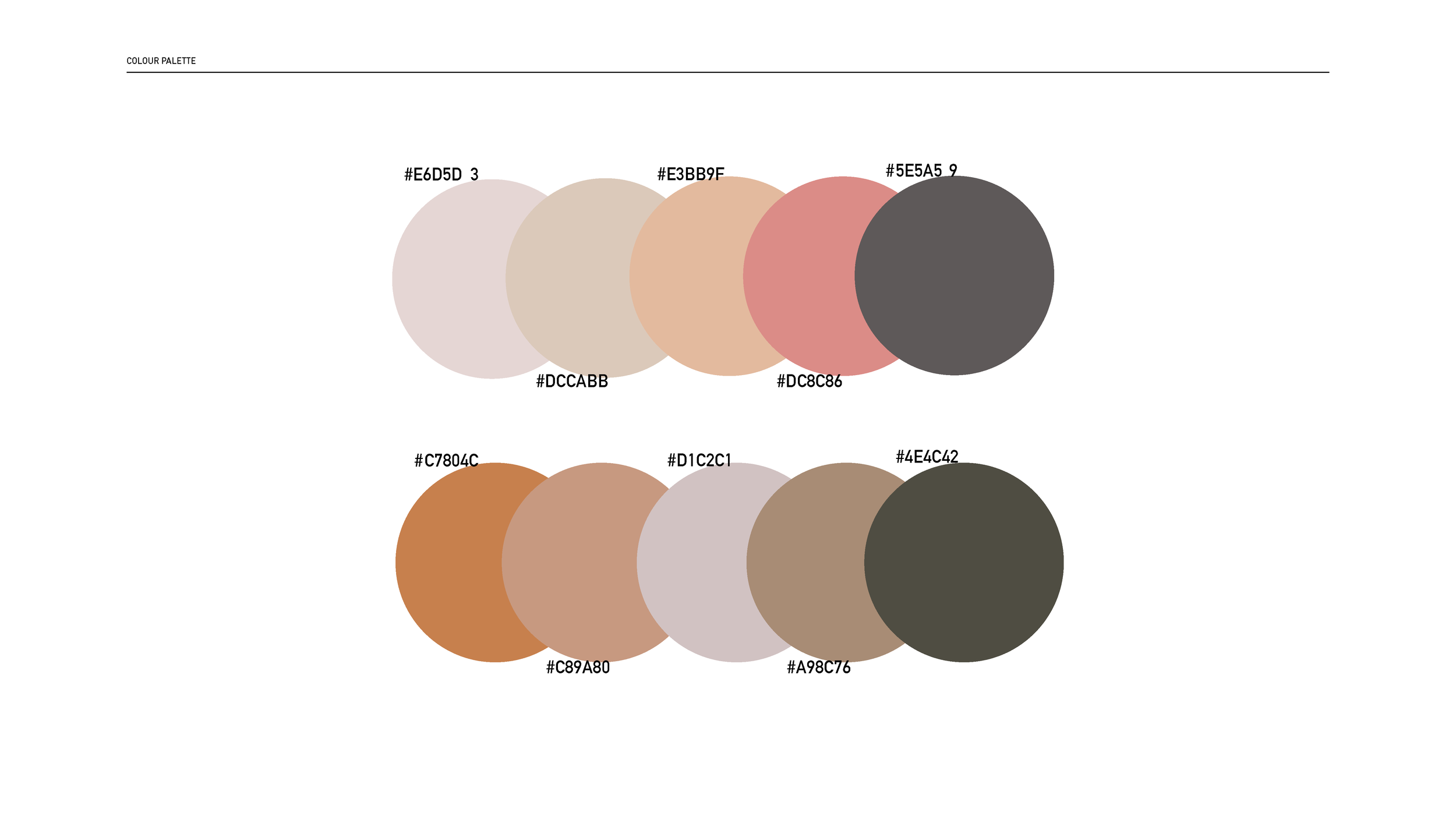 JT BRAND GUIDELINES_Page_08.png