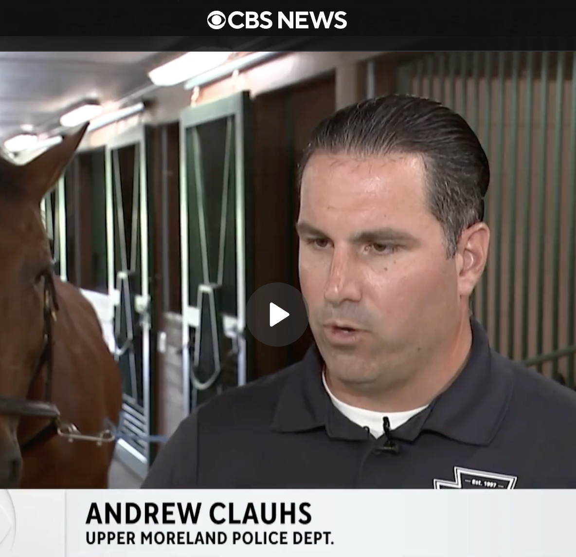 CBS3 Kindle Hill Foundation Equine Assisted Therapy