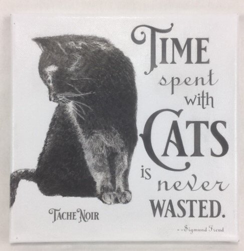 Time spent with cats is never wasted..jpg