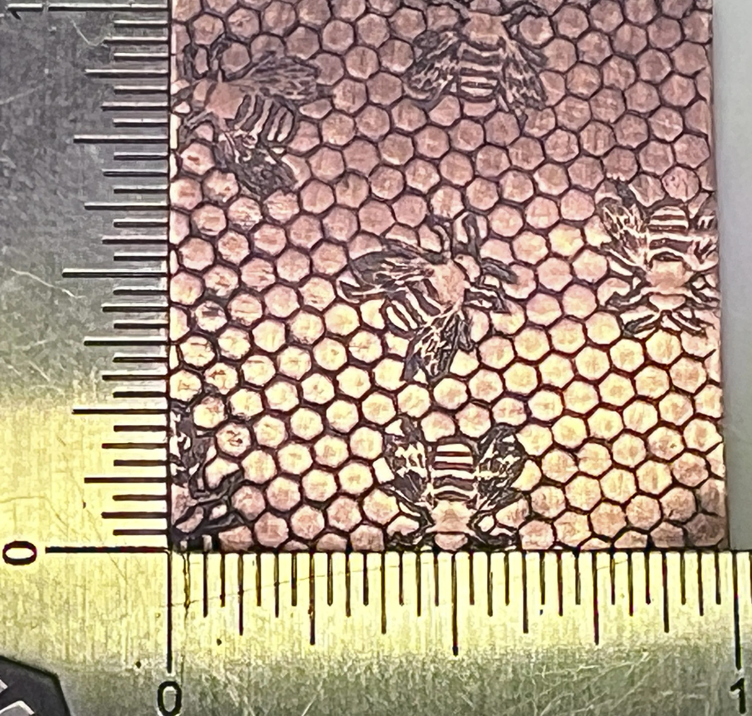 Textured Paper, Bees & Honeycomb