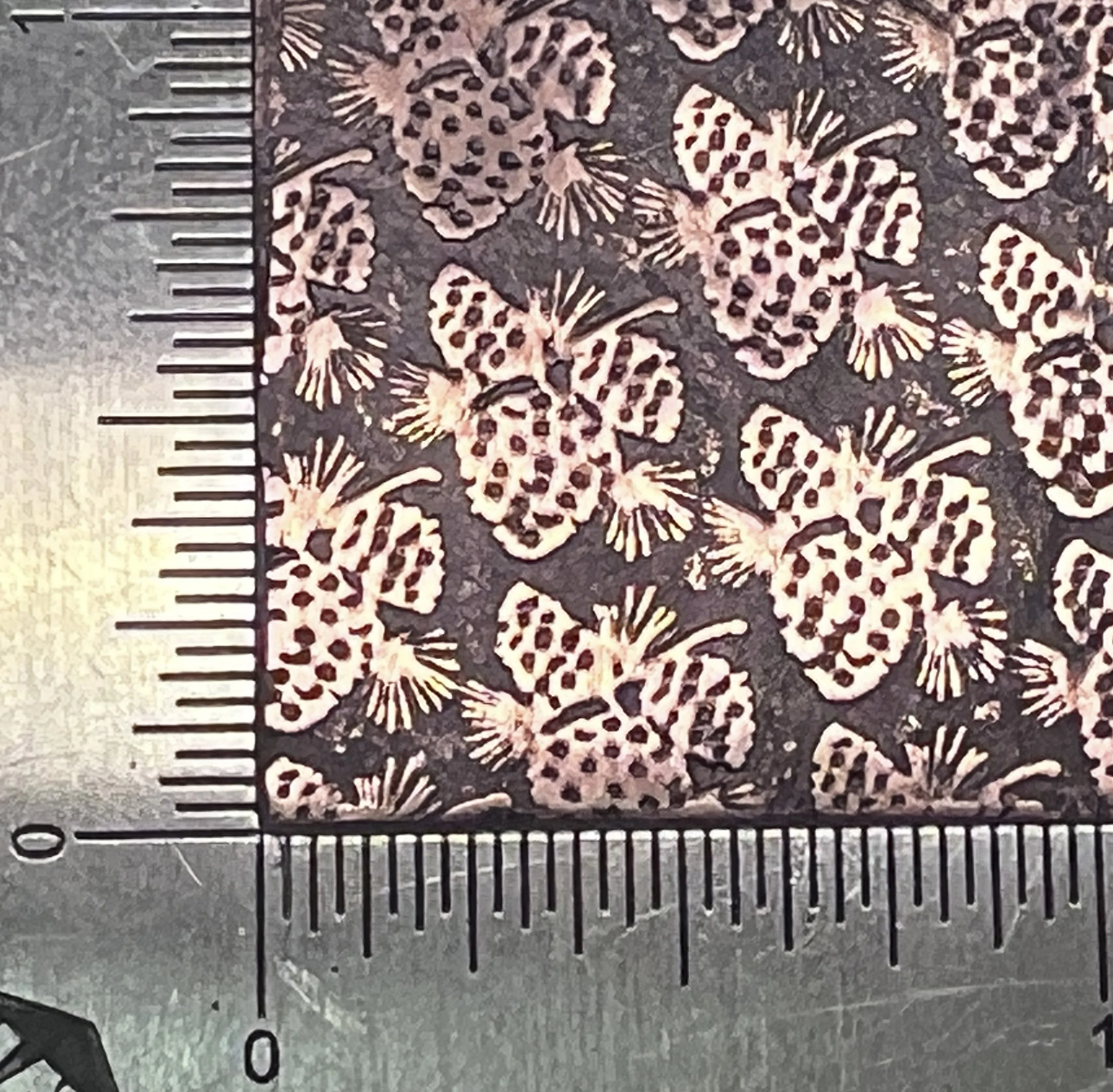 Textured Paper, Pine Cones