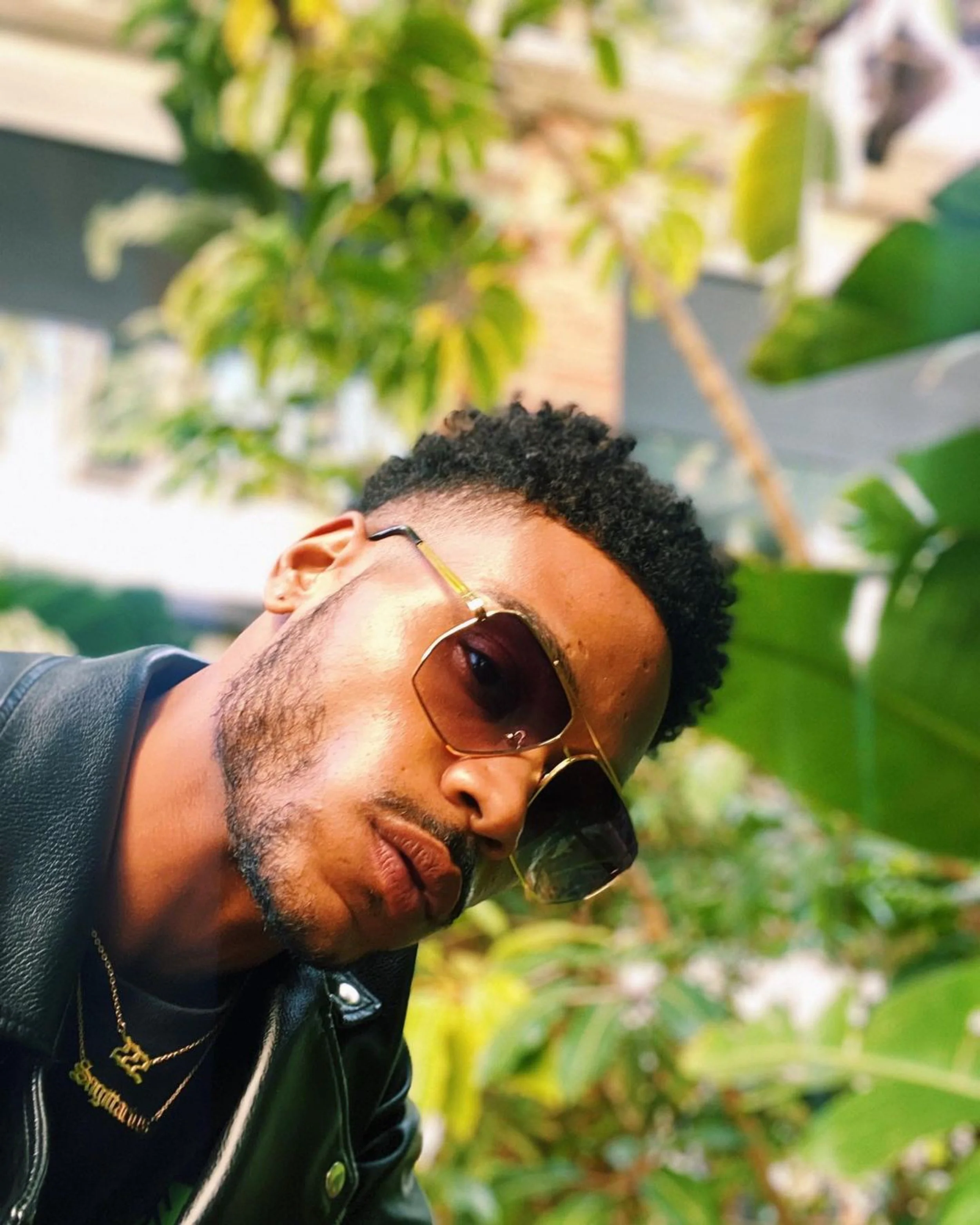 siah model v shades sunglasses metallic geometric aviator 2.JPG