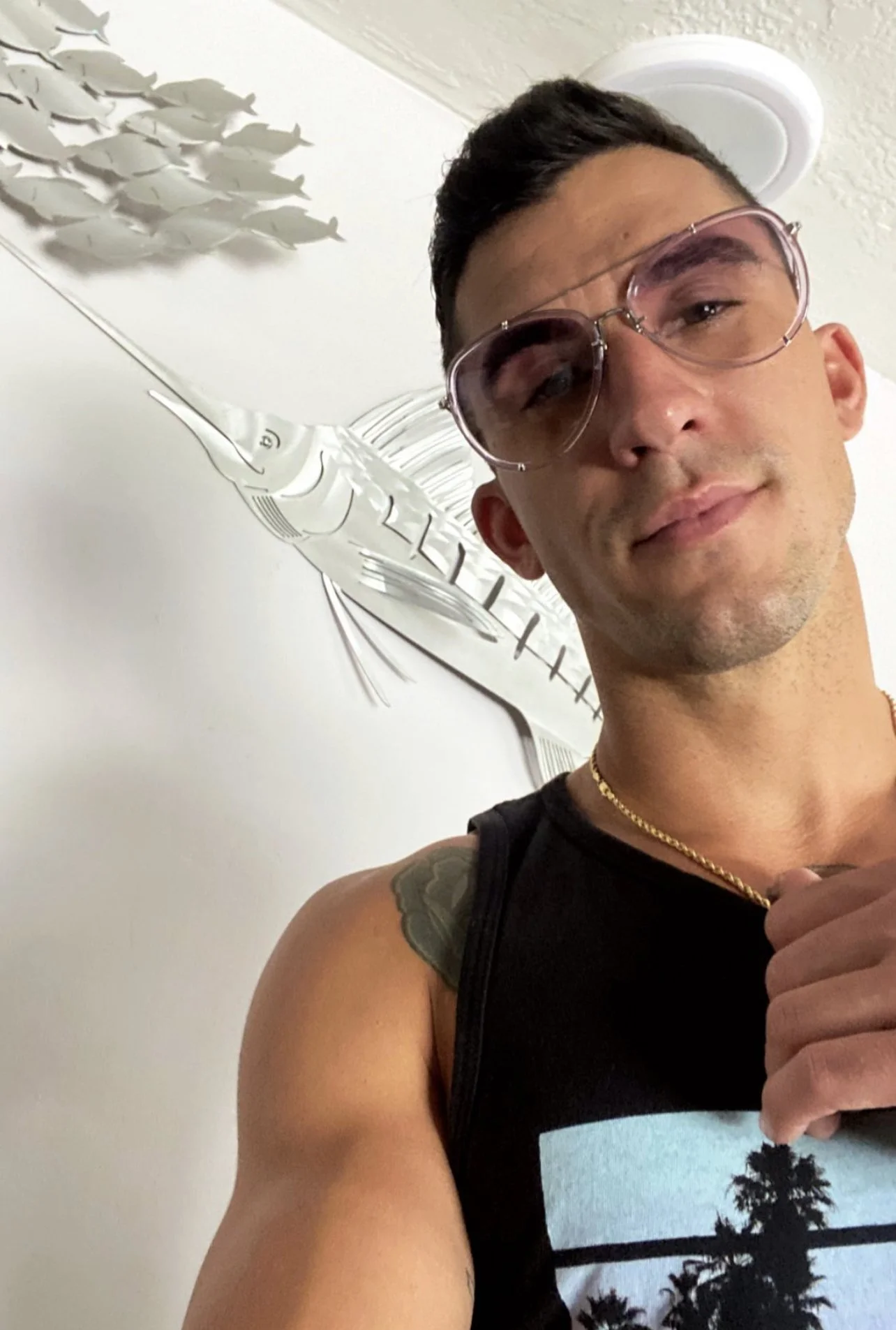 Taylor Davis Fashion Model V Shades Sunglasses Atlantic Aviators 3.jpg