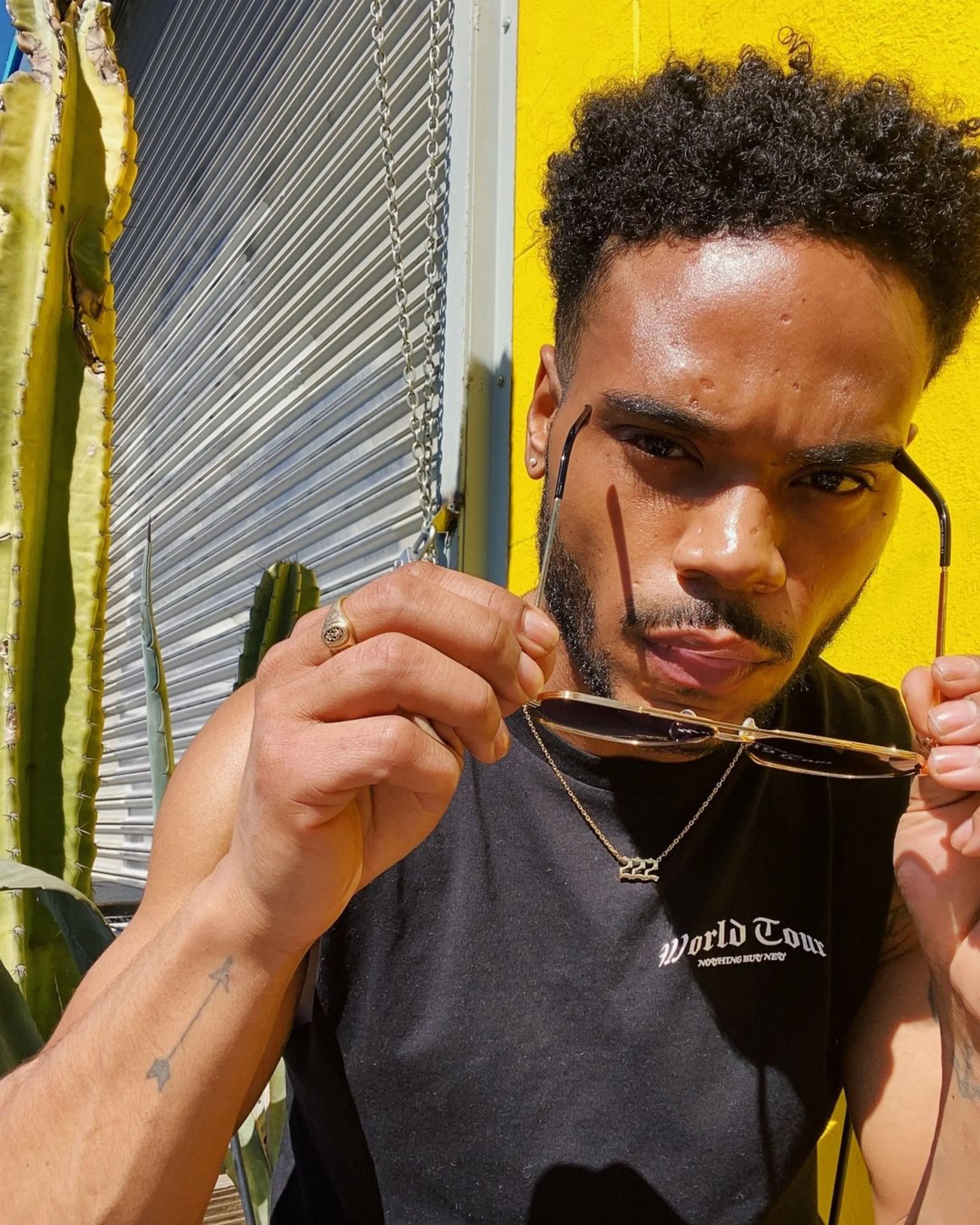 siah model v shades sunglasses metallic geometric aviator 3.JPG