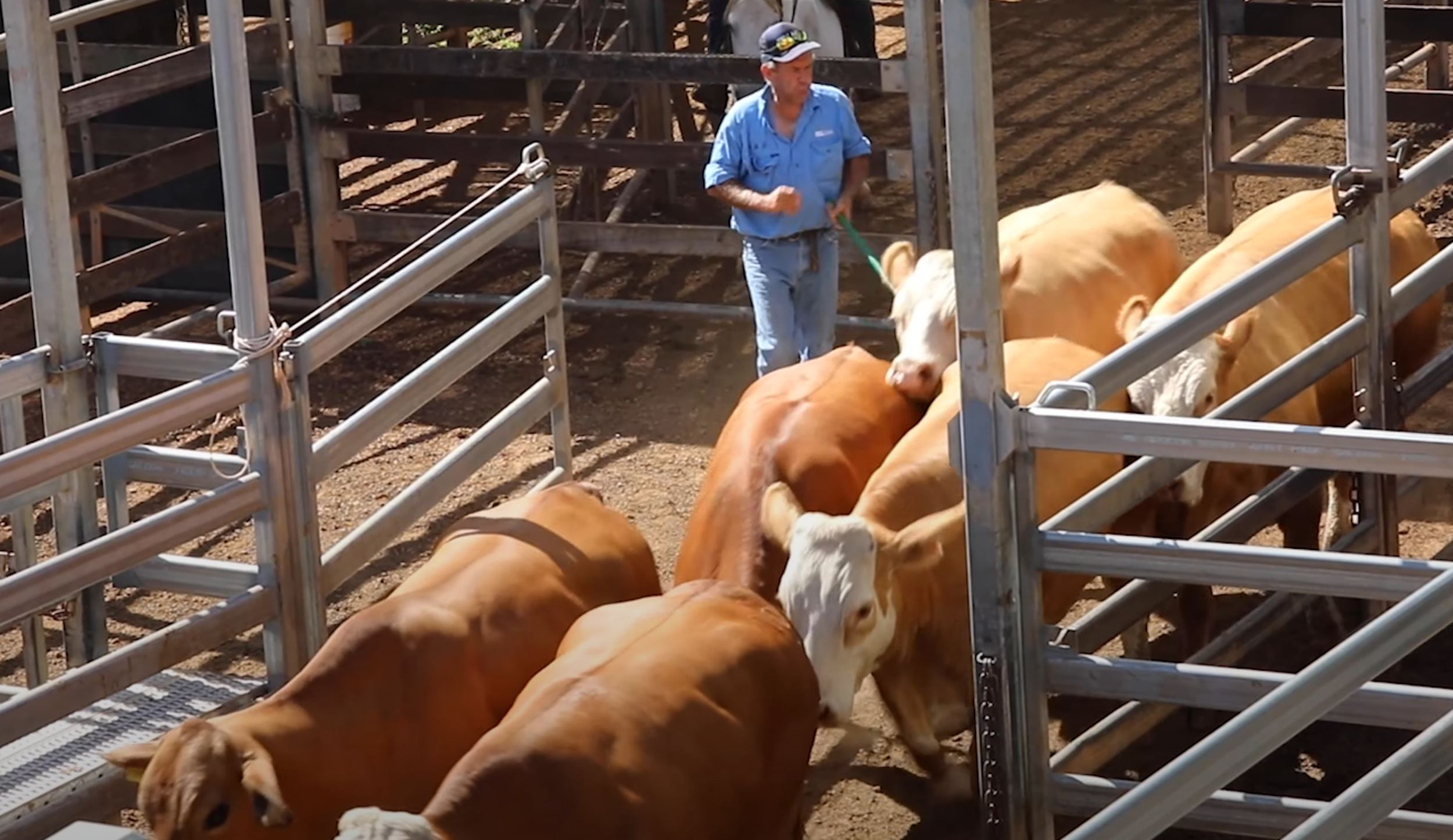 Prime agricultural and horticultural region in South West Queensland